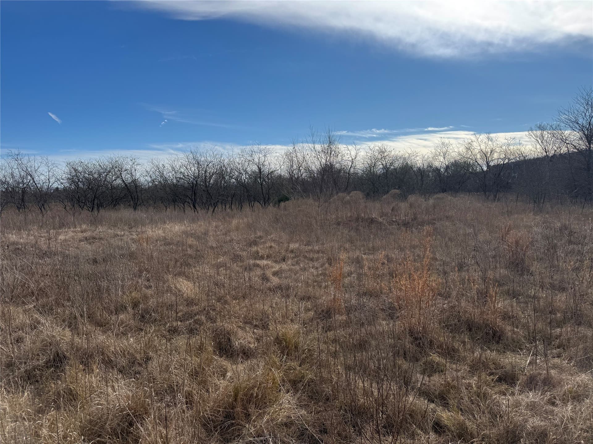 2.29 acres in Navarro County - photo 16
