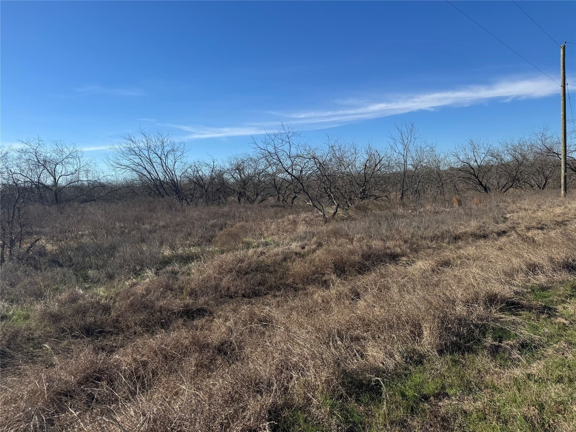 2.29 acres in Navarro County - photo 25