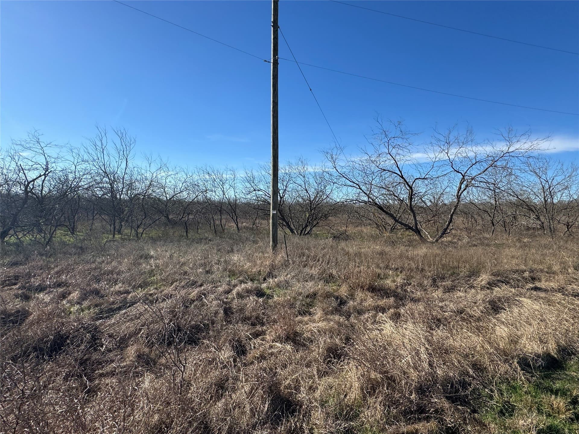 2.29 acres in Navarro County - photo 11