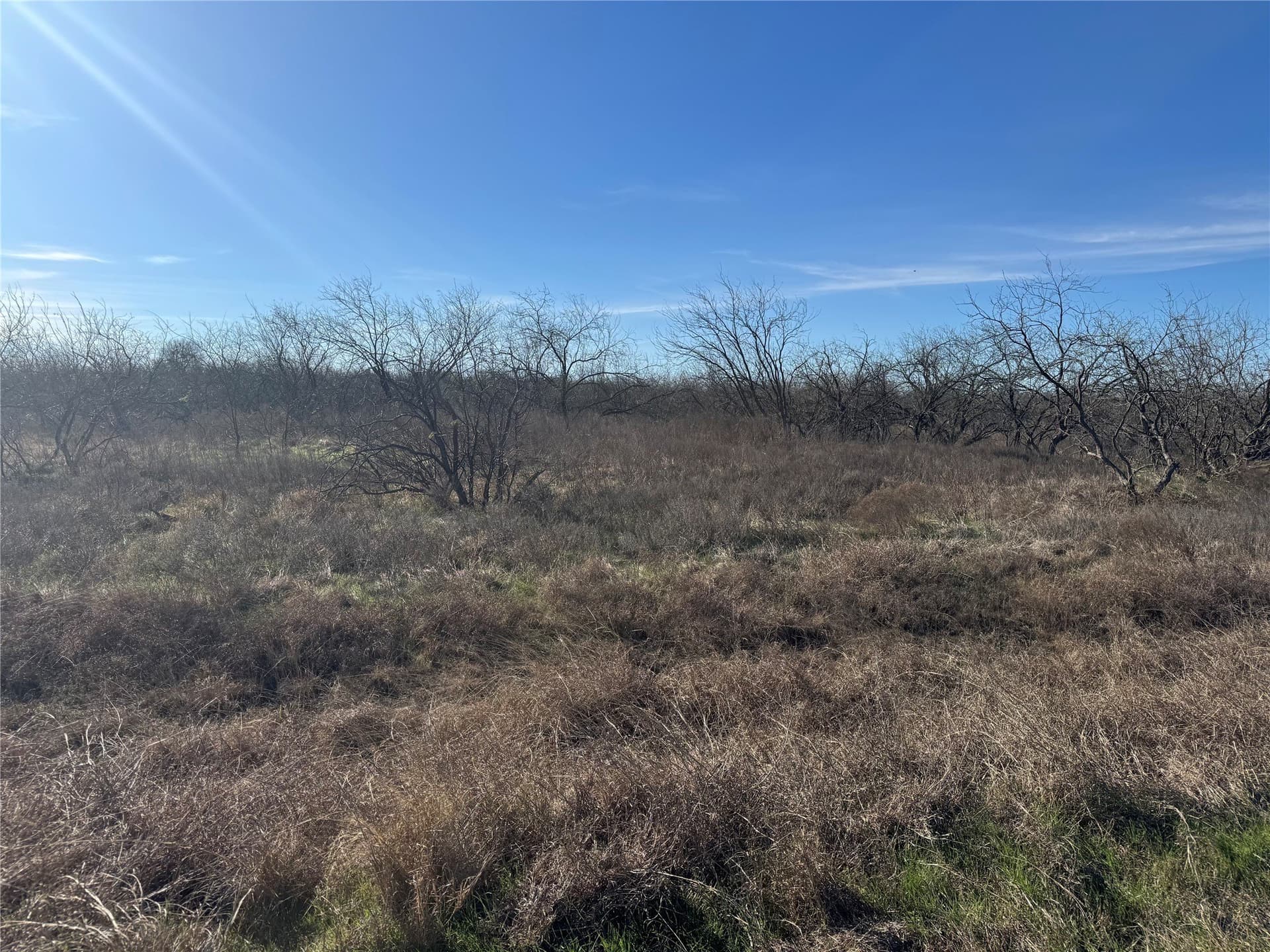 2.29 acres in Navarro County - photo 27