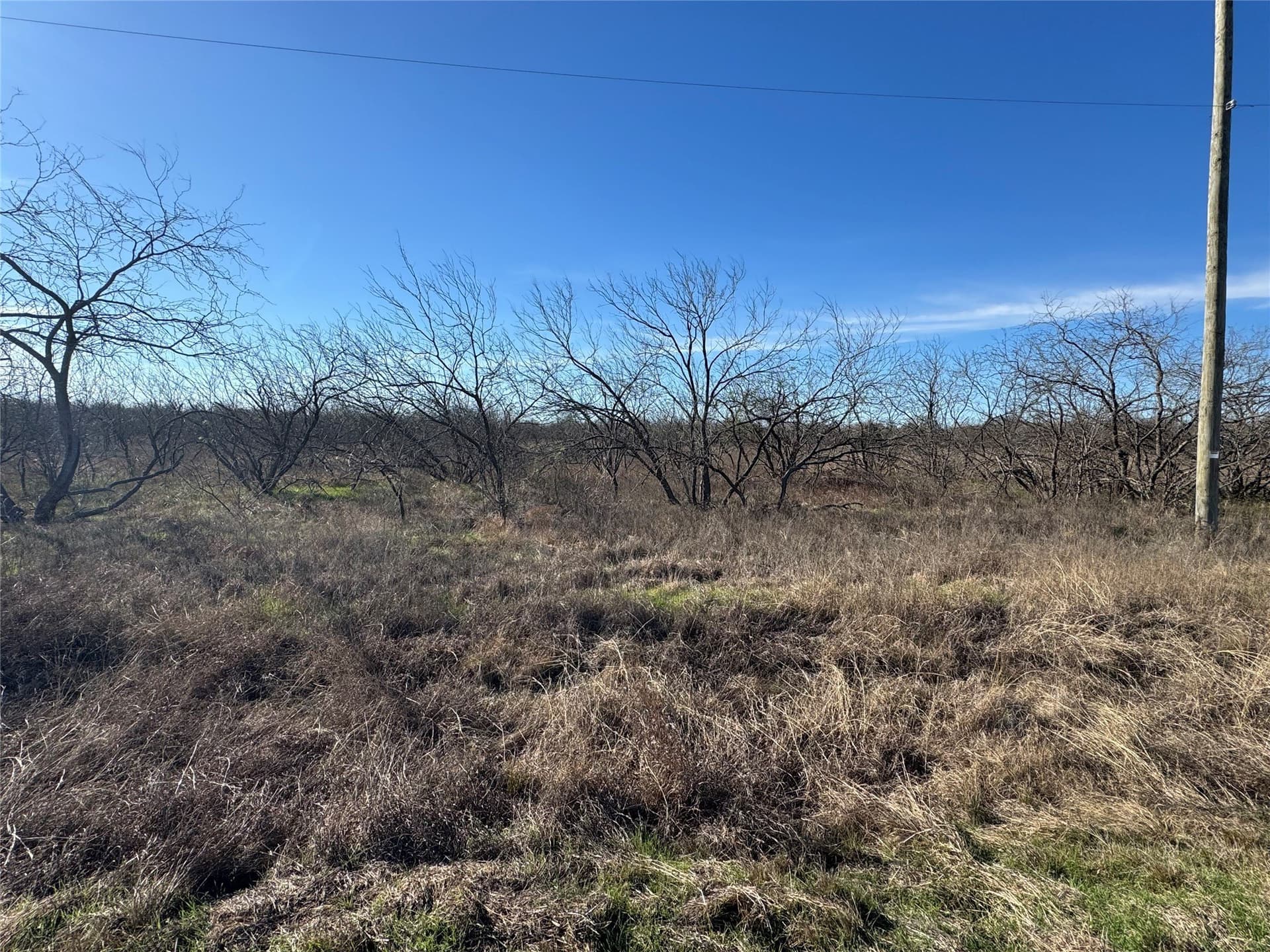 2.29 acres in Navarro County - photo 23