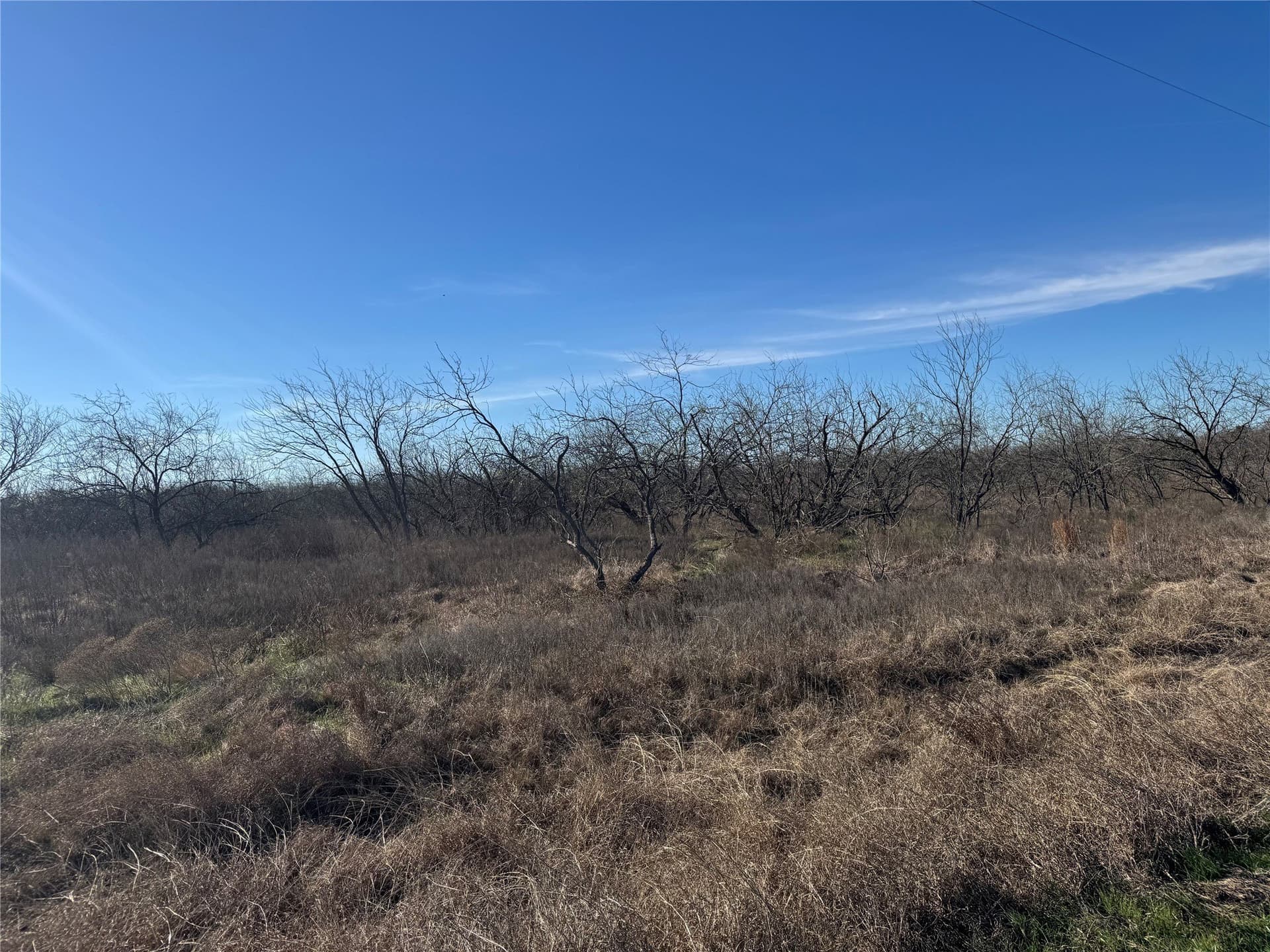 2.29 acres in Navarro County - photo 14