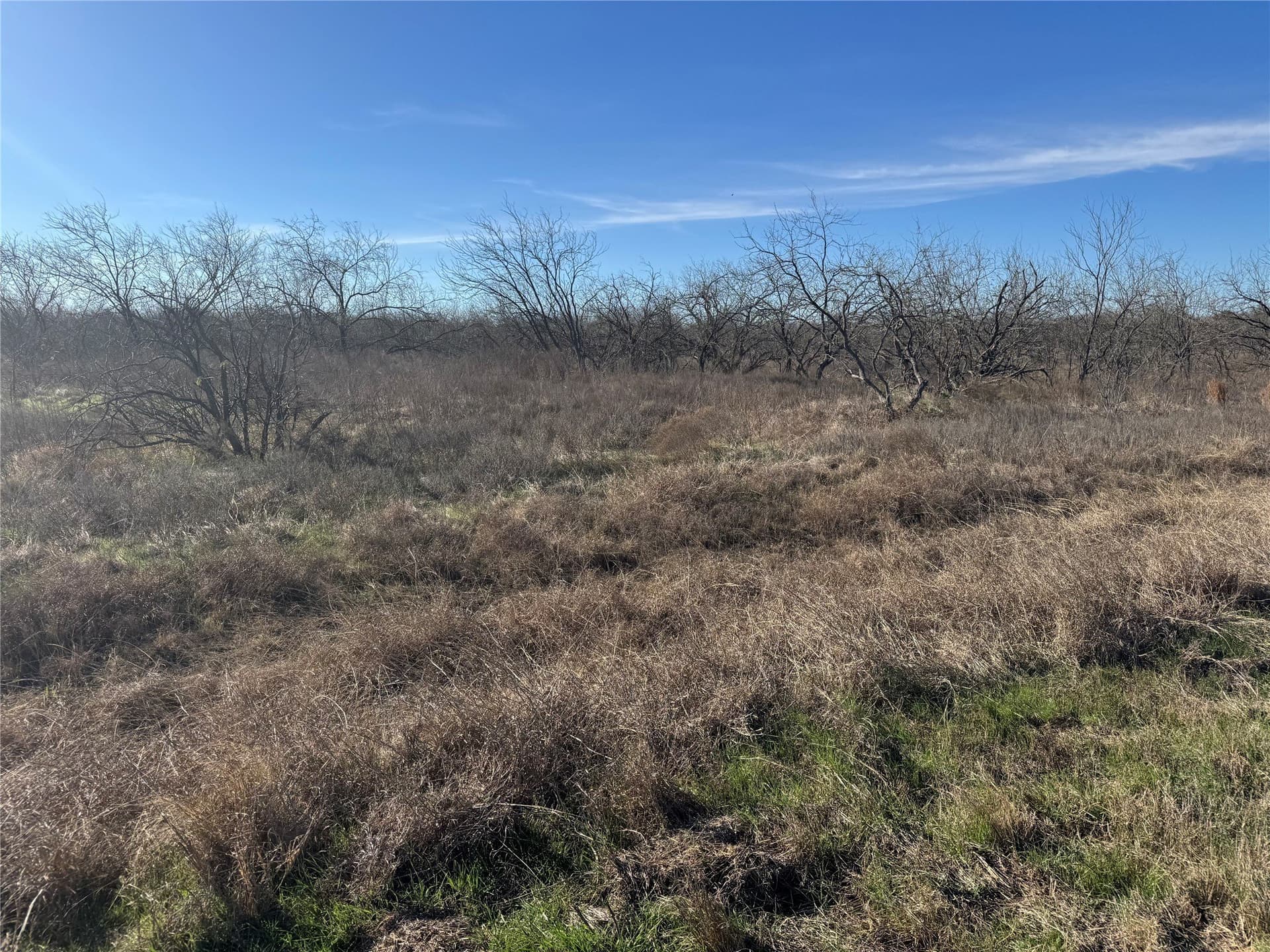 2.29 acres in Navarro County - photo 26