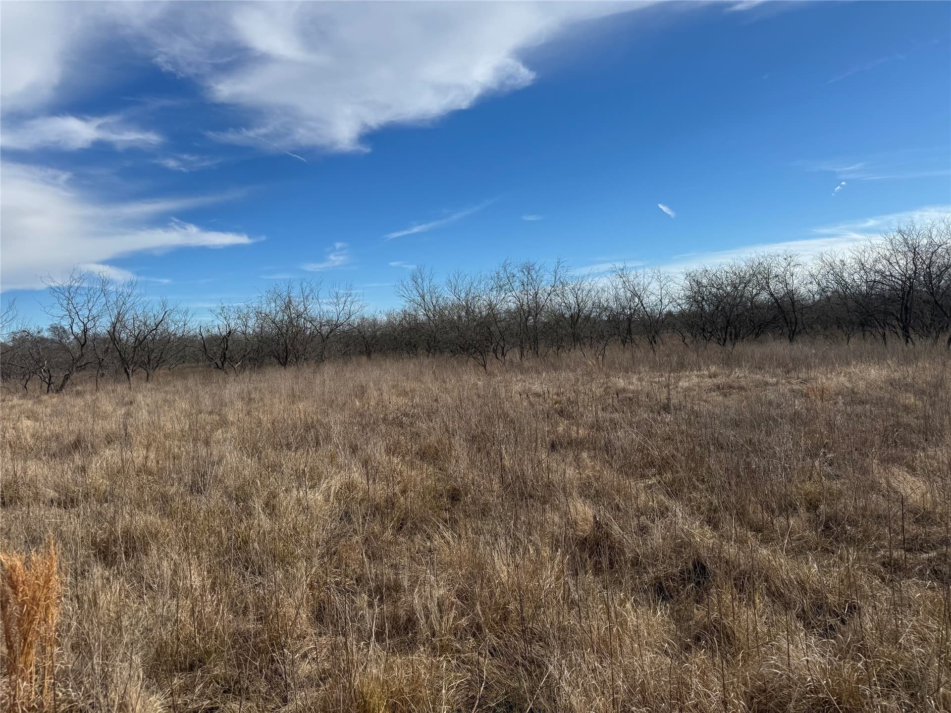2.29 acres in Navarro County - photo 20