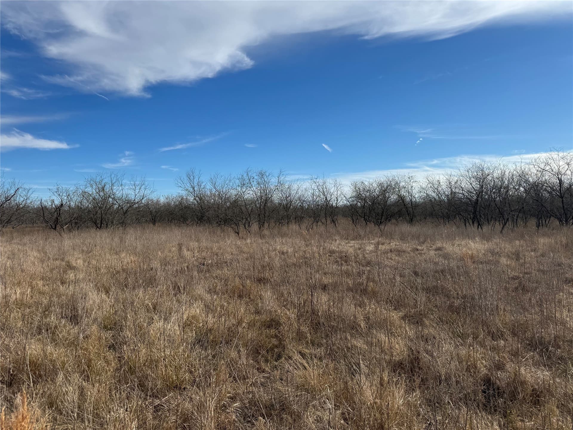 2.29 acres in Navarro County - photo 17