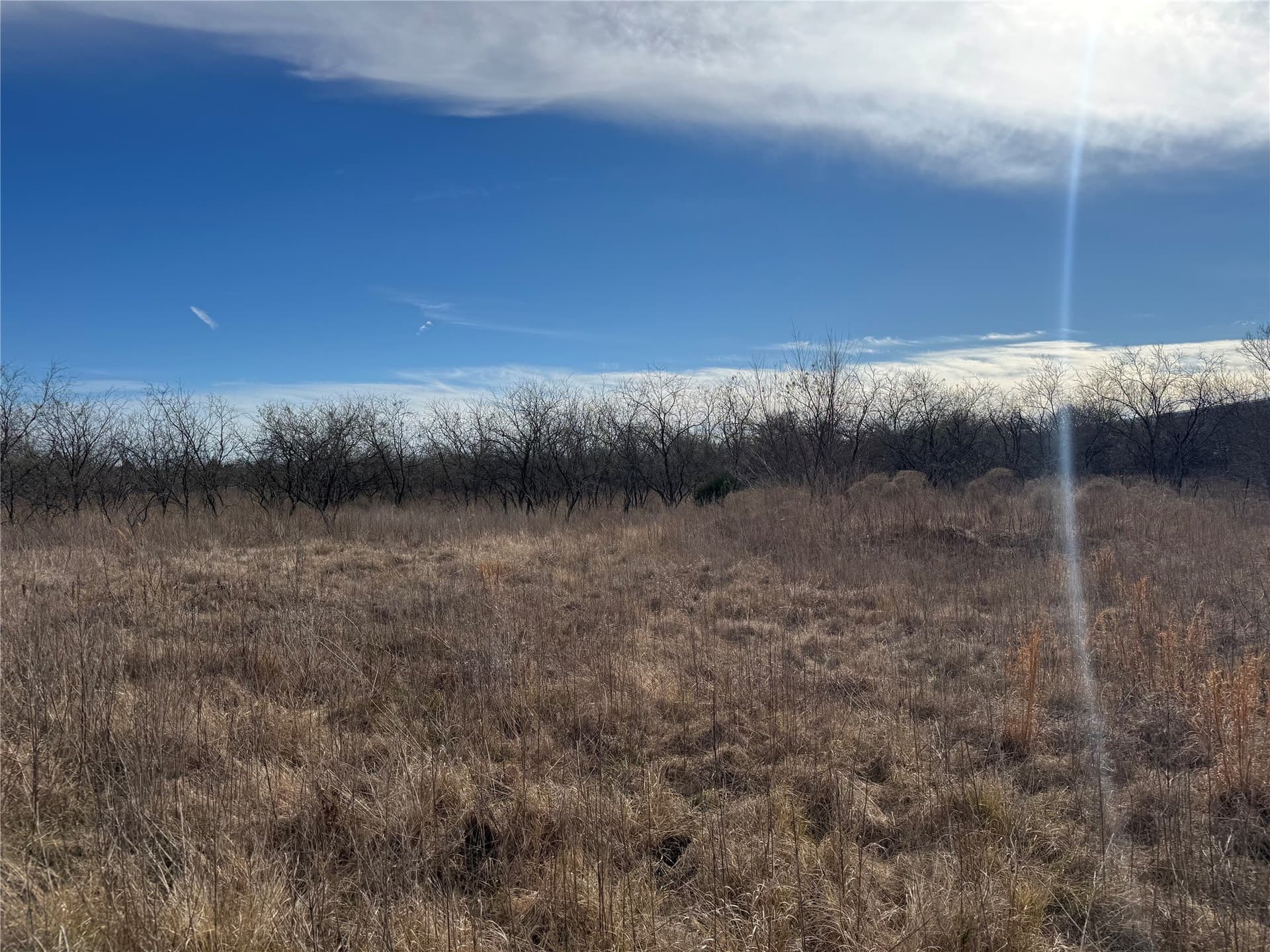 2.29 acres in Navarro County - photo 21