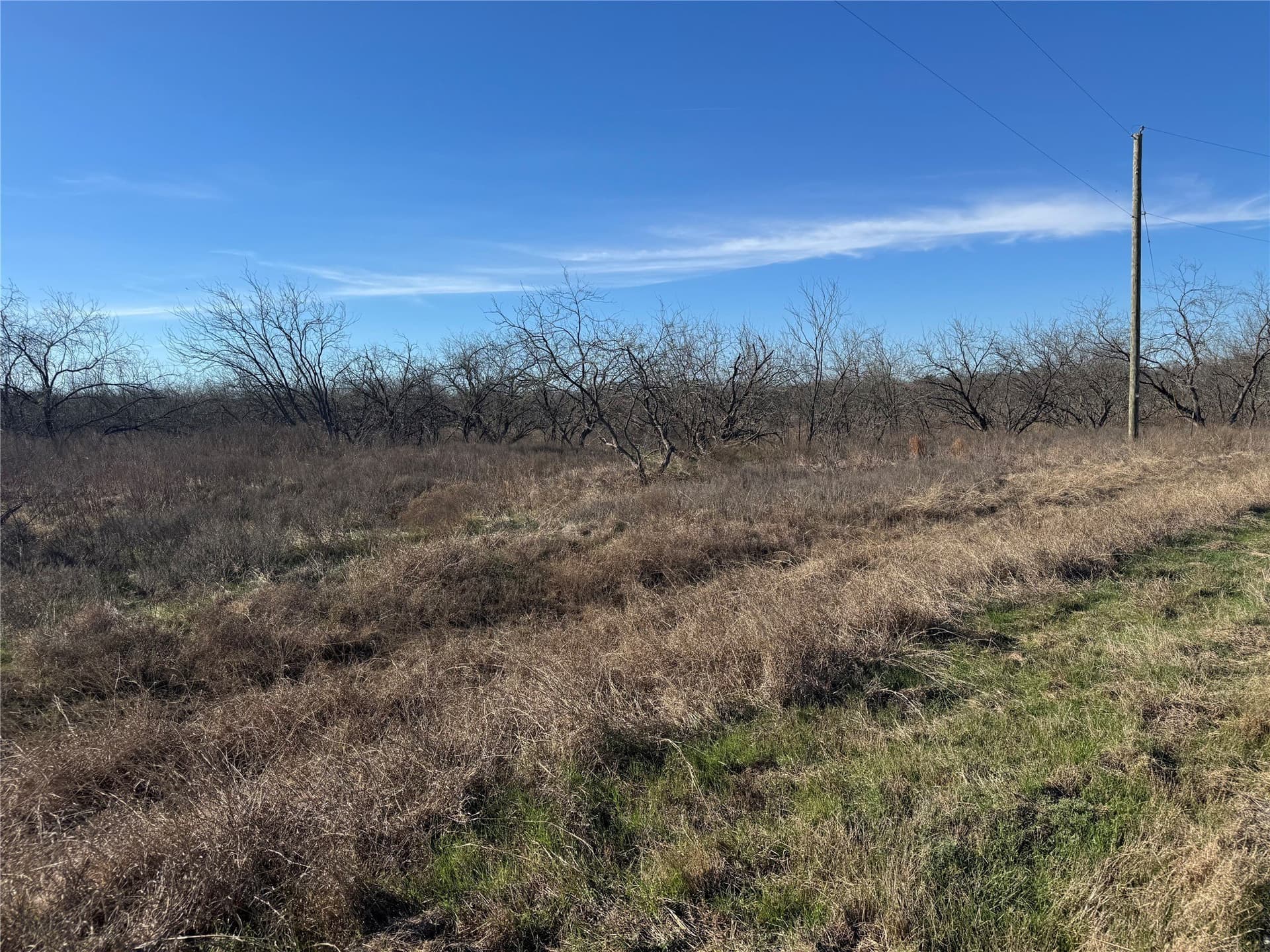 2.29 acres in Navarro County - photo 10