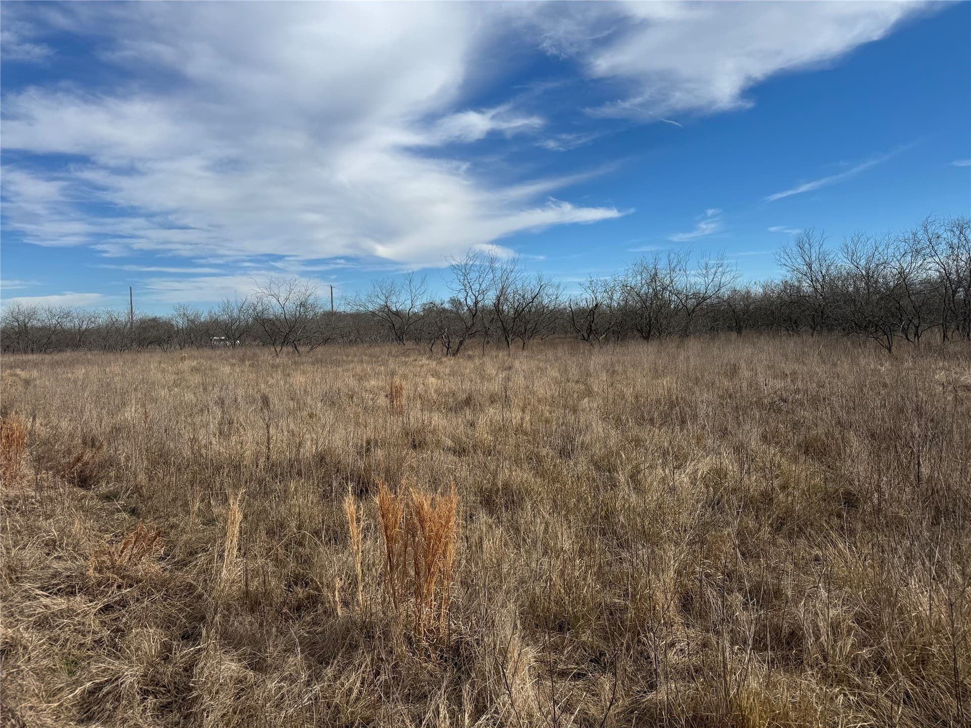 2.29 acres in Navarro County - photo 12
