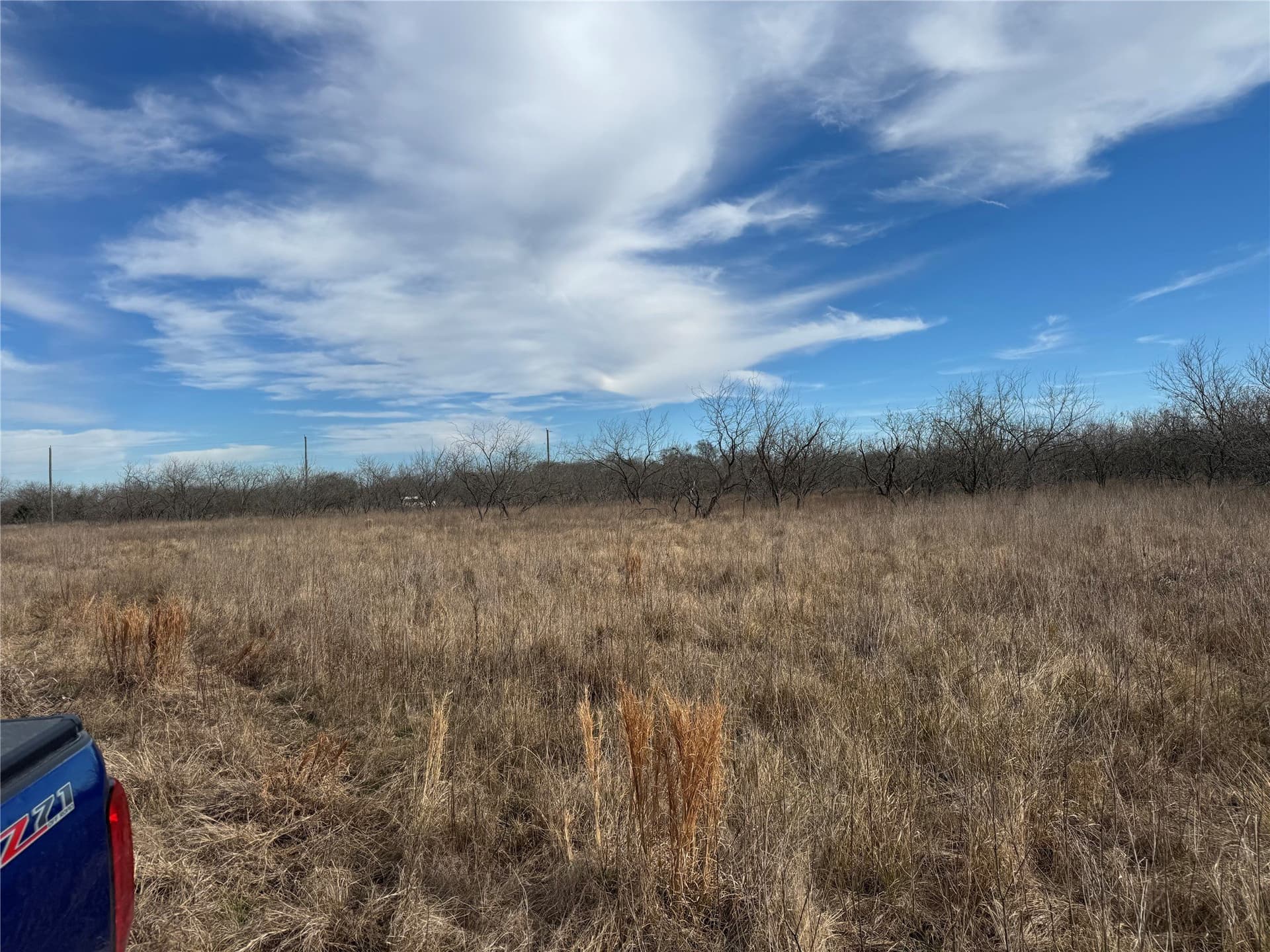 2.29 acres in Navarro County gallery image 4