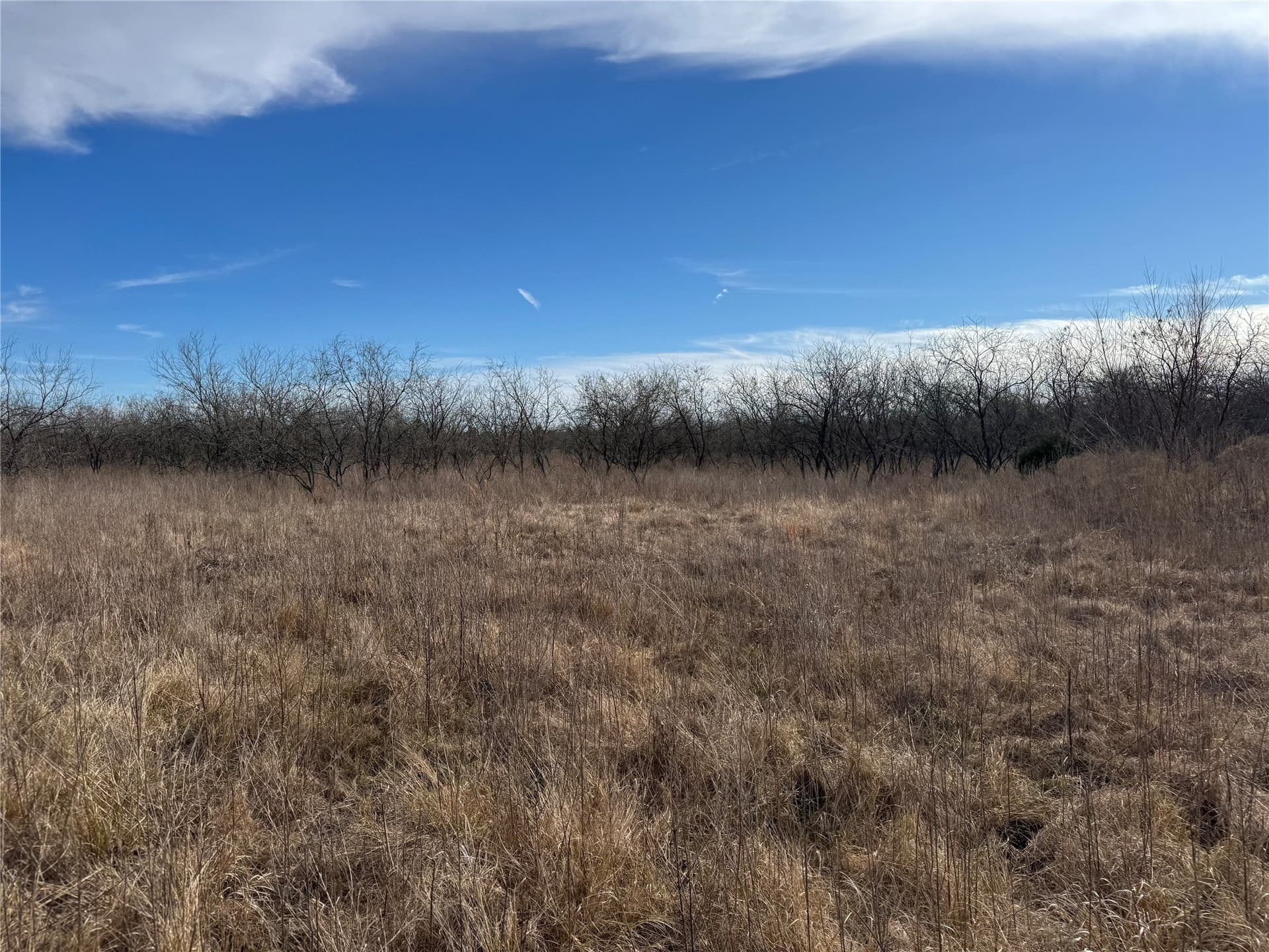 2.29 acres in Navarro County - photo 18
