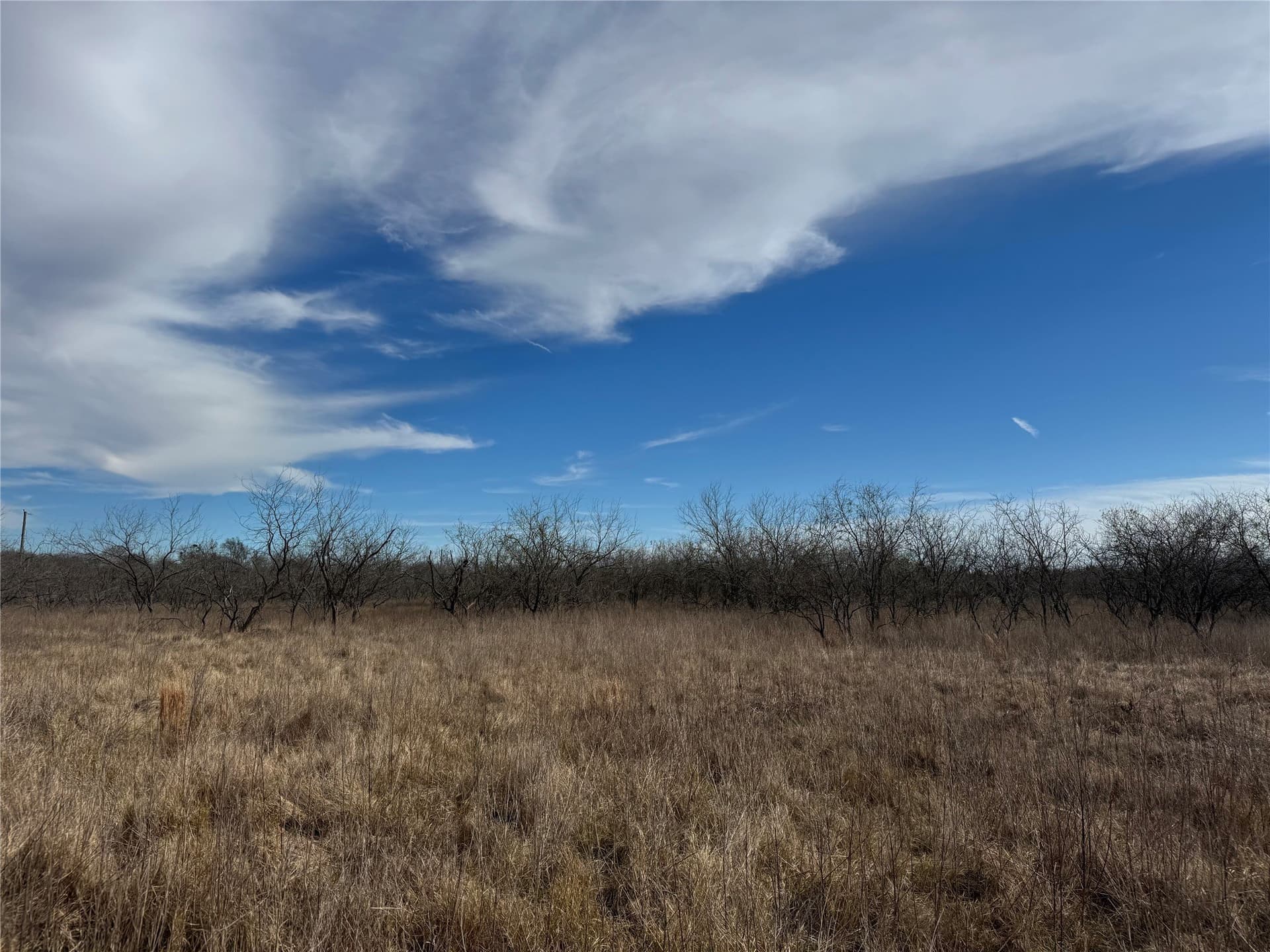 2.29 acres in Navarro County - photo 22