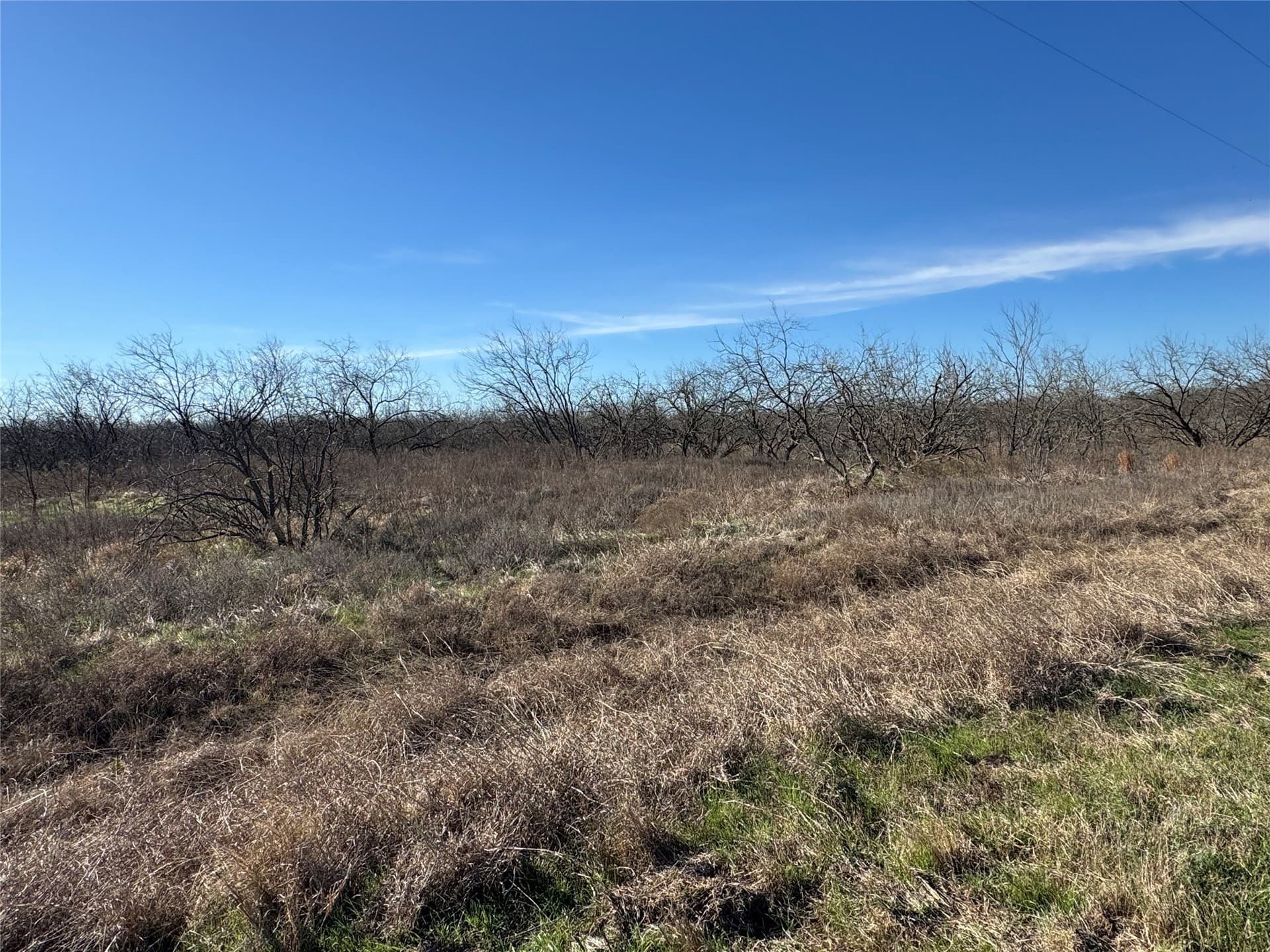 2.29 acres in Navarro County - photo 9