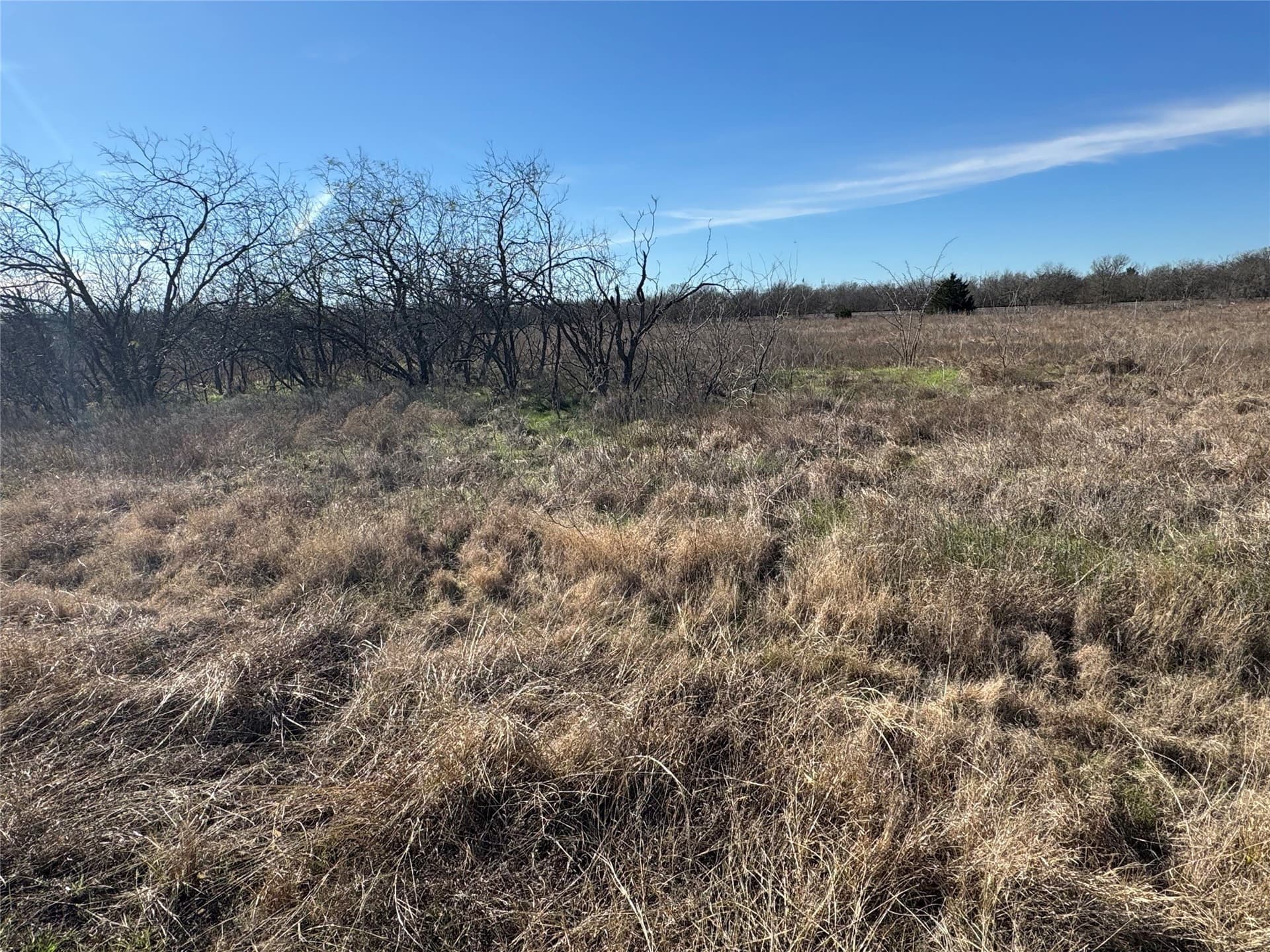 2.29 acres in Navarro County - photo 28