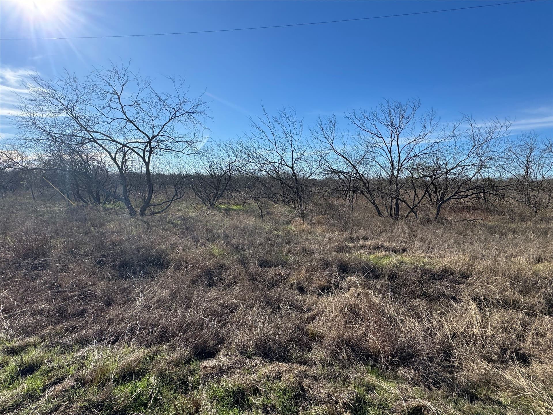 2.29 acres in Navarro County - photo 24