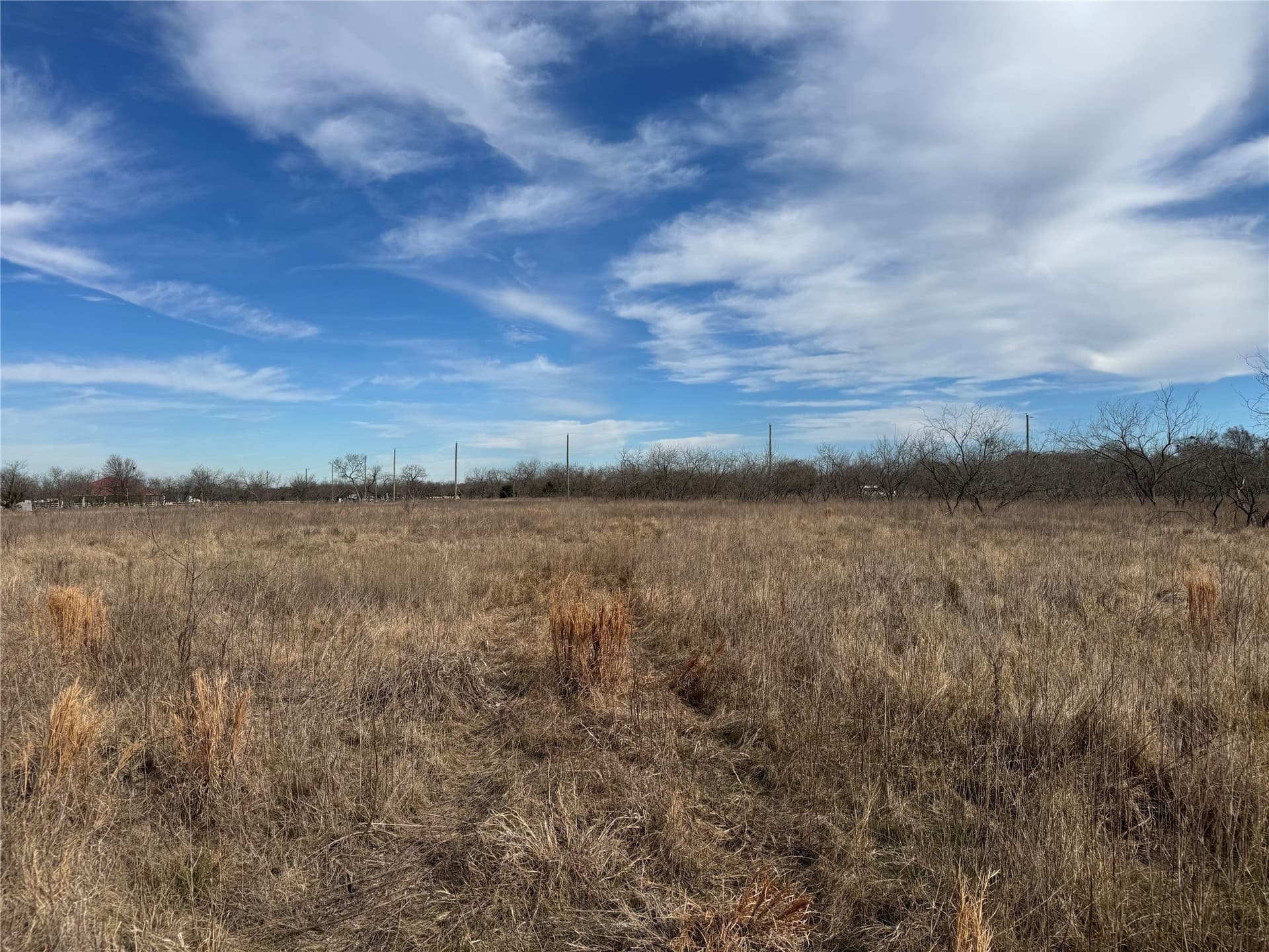 2.29 acres in Navarro County gallery image 3