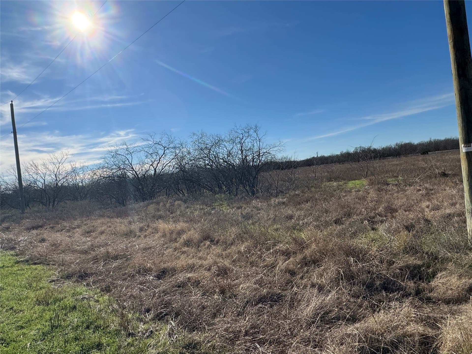 2.29 acres in Navarro County - photo 8