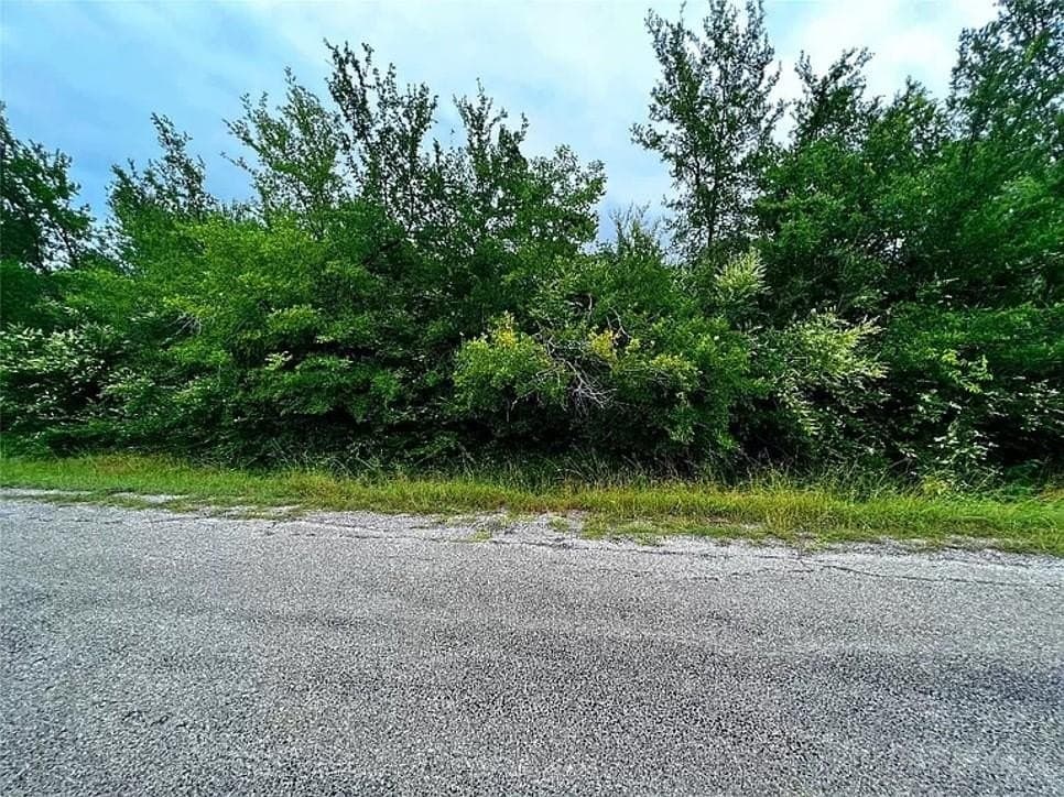 0.23 acres in Grayson County gallery image 3