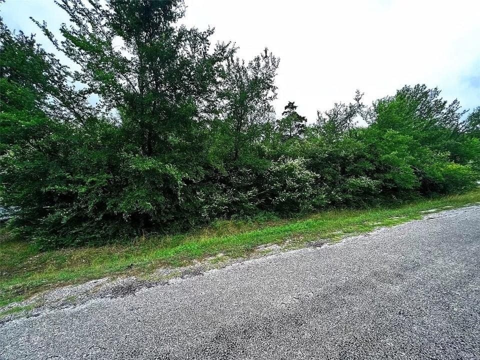 0.23 acres in Grayson County gallery image 2