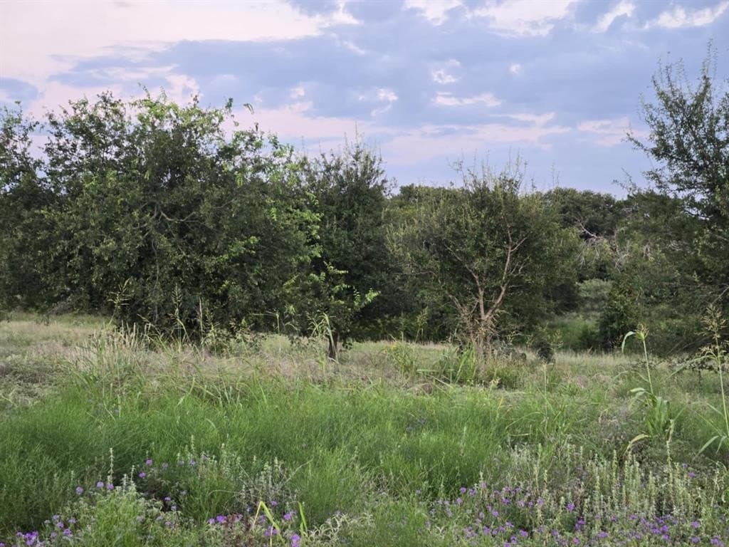 5.14 acres in Coryell County gallery image 4