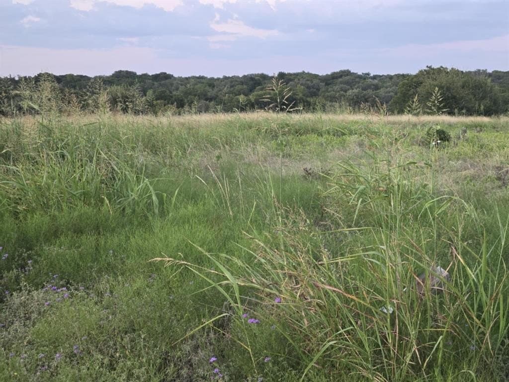 5.14 acres in Coryell County gallery image 2