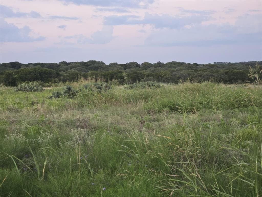 5.14 acres in Coryell County gallery image 3