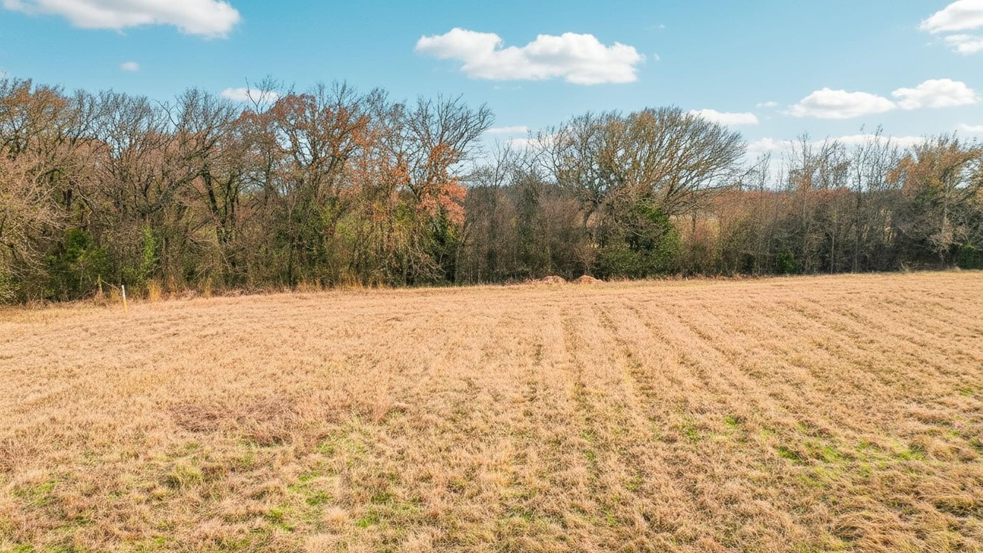 10 acres in Johnson County - photo 6