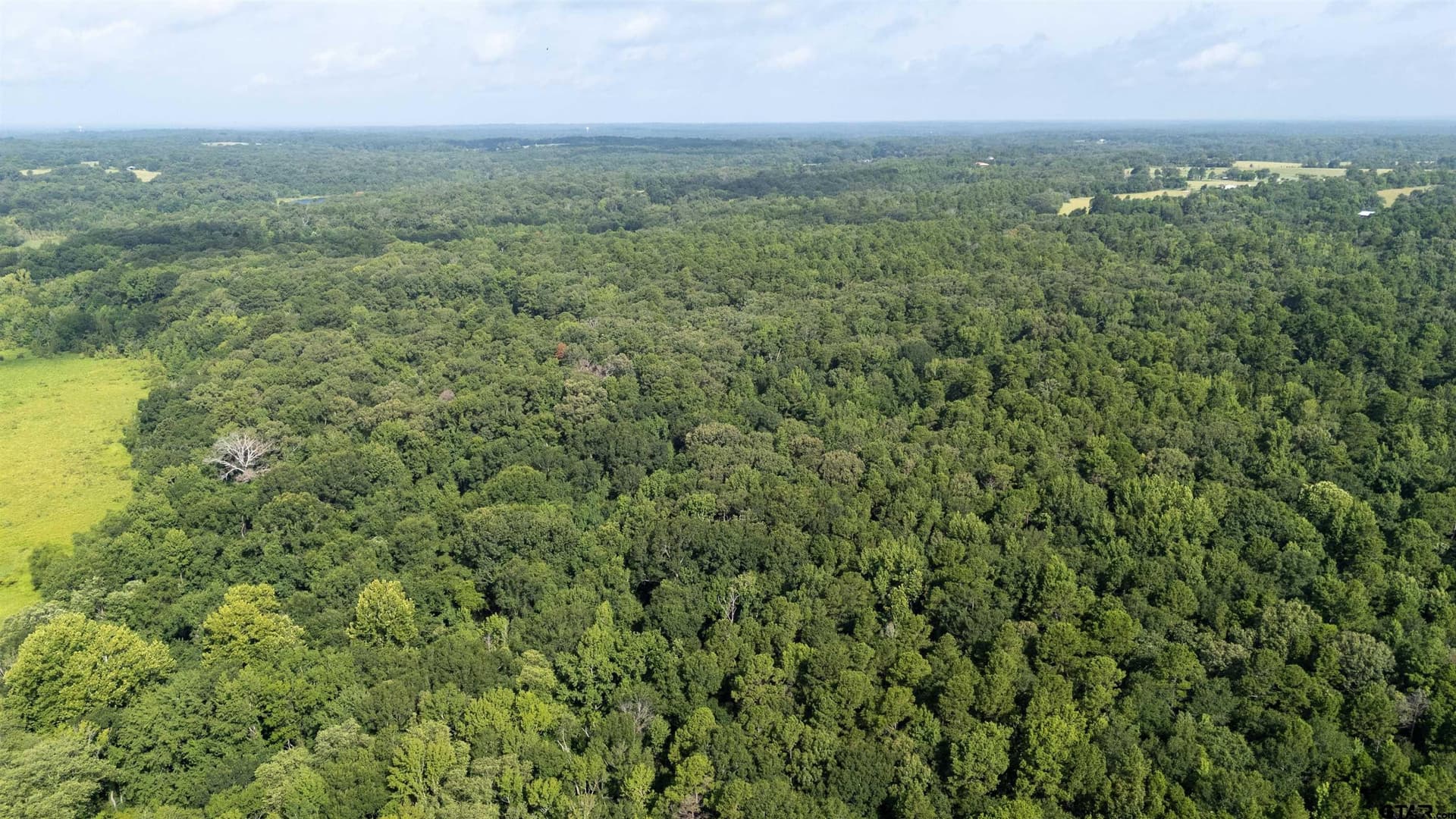88 acres in Wood County featured view