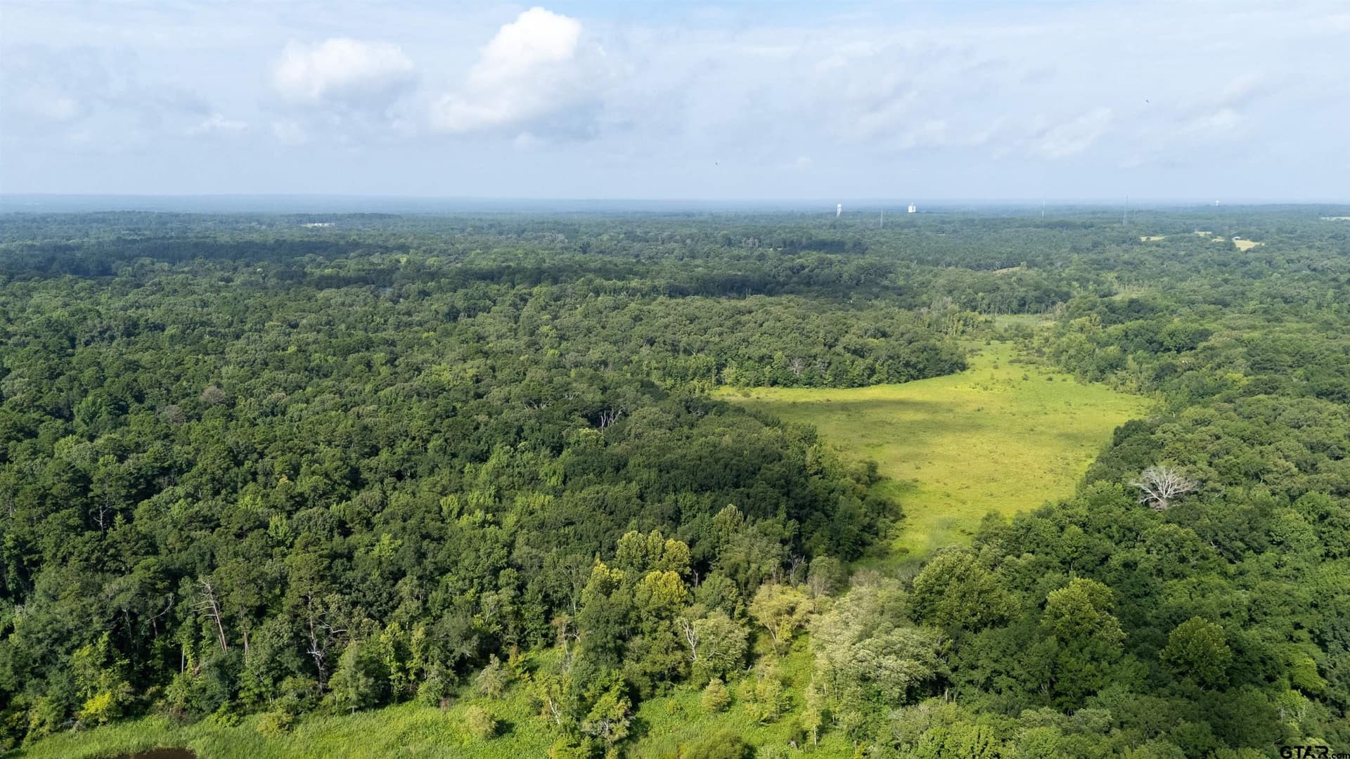 88 acres in Wood County gallery image 3