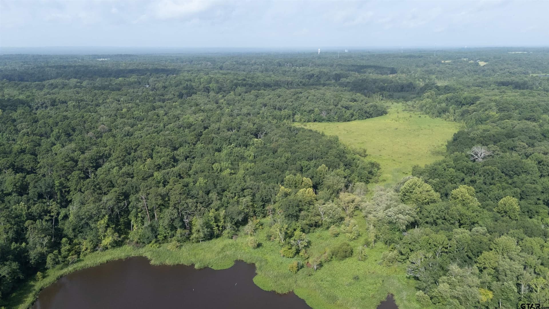 88 acres in Wood County gallery image 4