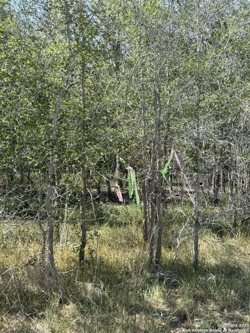 0.32 acres in Wilson County gallery image 2