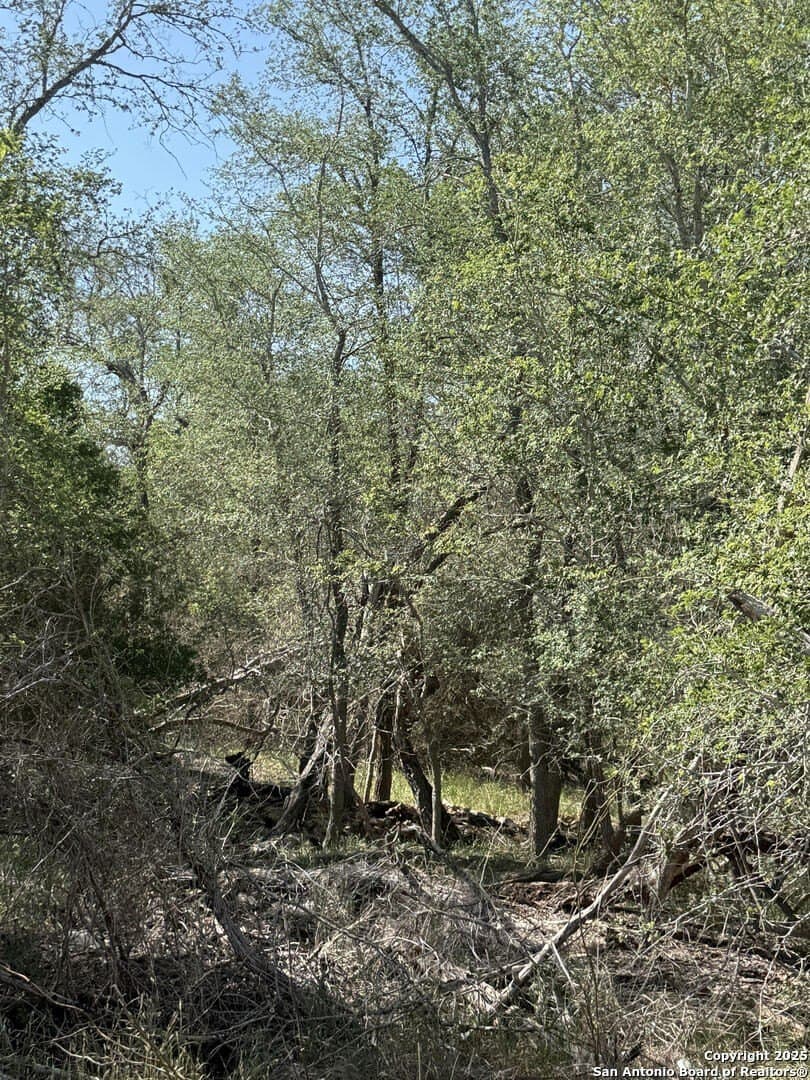 0.32 acres in Wilson County gallery image 3