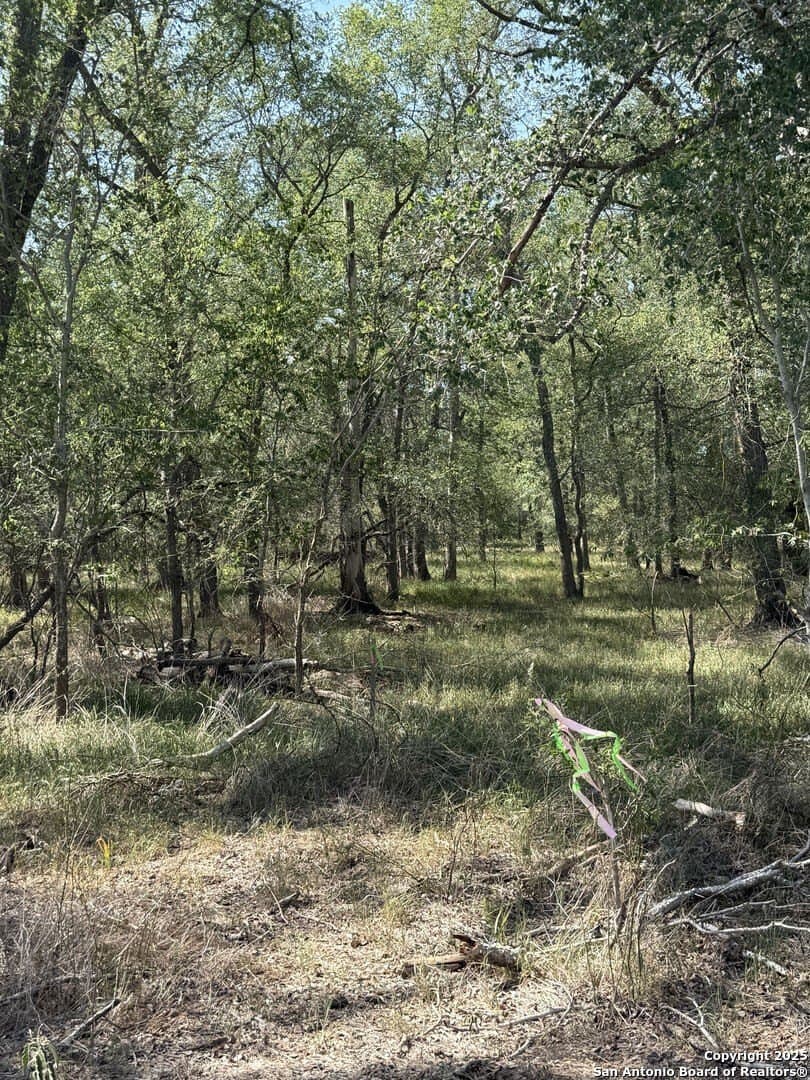 0.32 acres in Wilson County featured view
