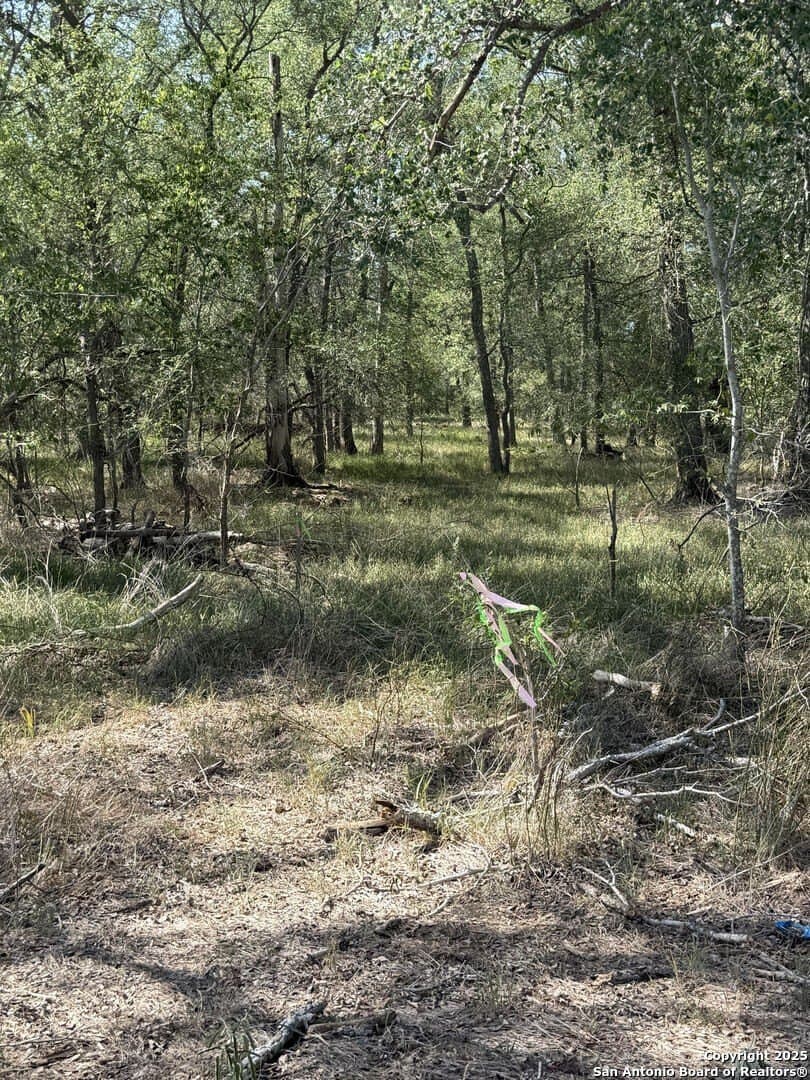 0.32 acres in Wilson County - photo 6