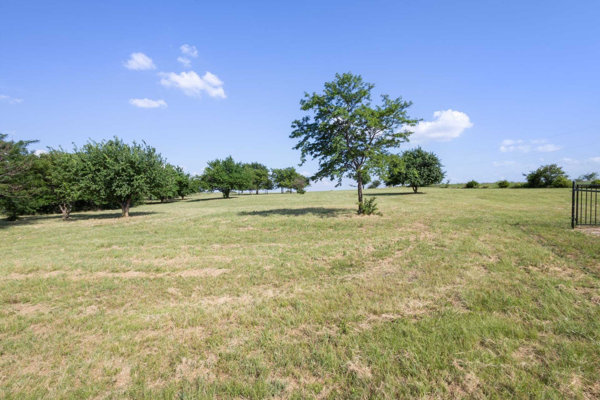 4 acres in Wise County - photo 4