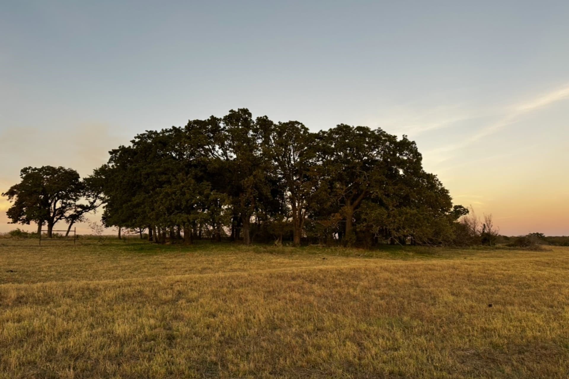 31.87 acres in Cooke County featured view