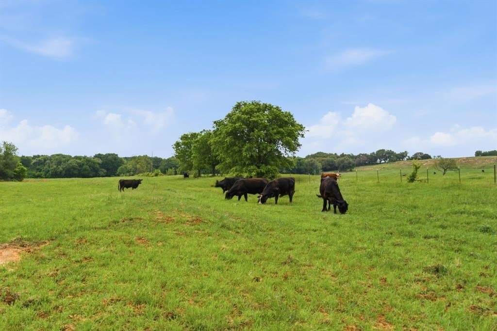 10.75 acres in Hood County gallery image 3