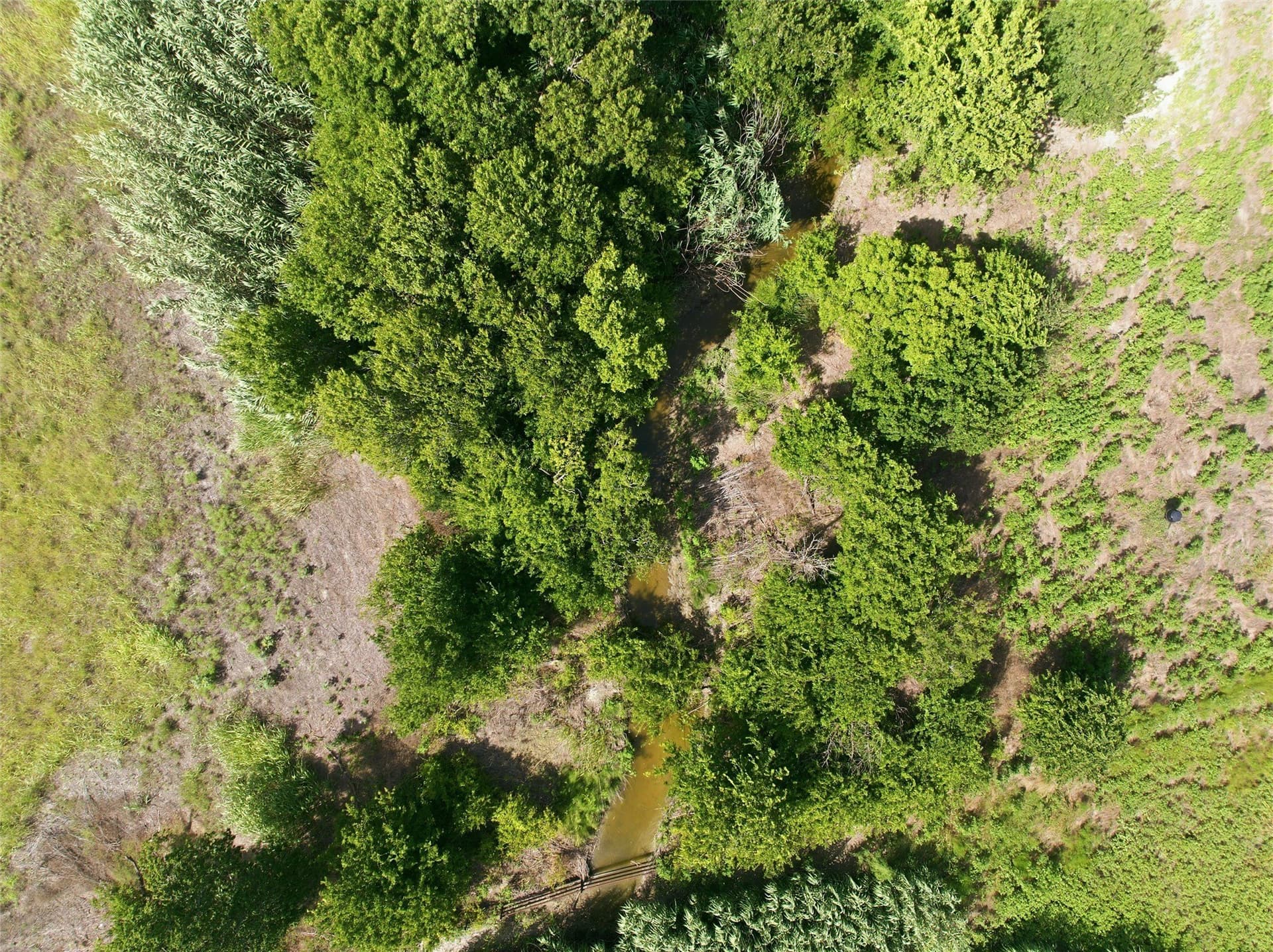 34.1 acres in McLennan County - photo 13