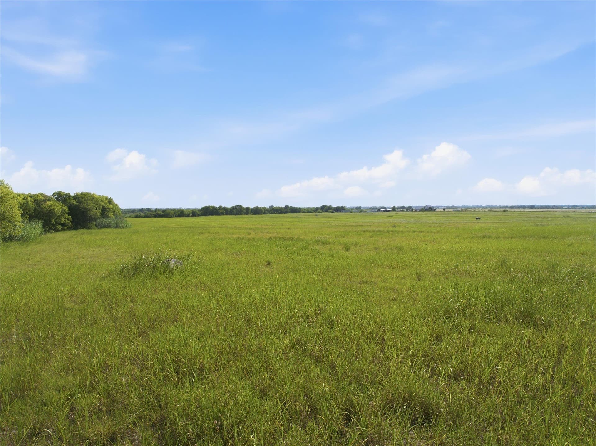 34.1 acres in McLennan County - photo 9