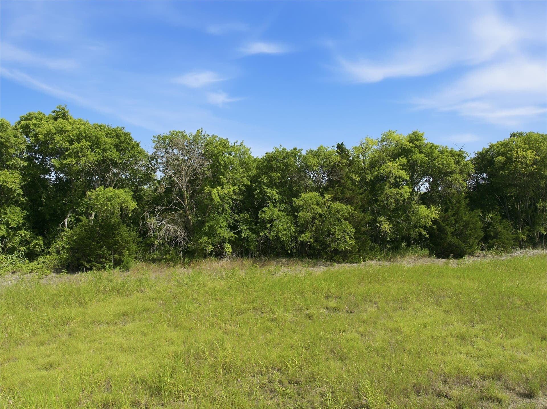 34.1 acres in McLennan County - photo 10