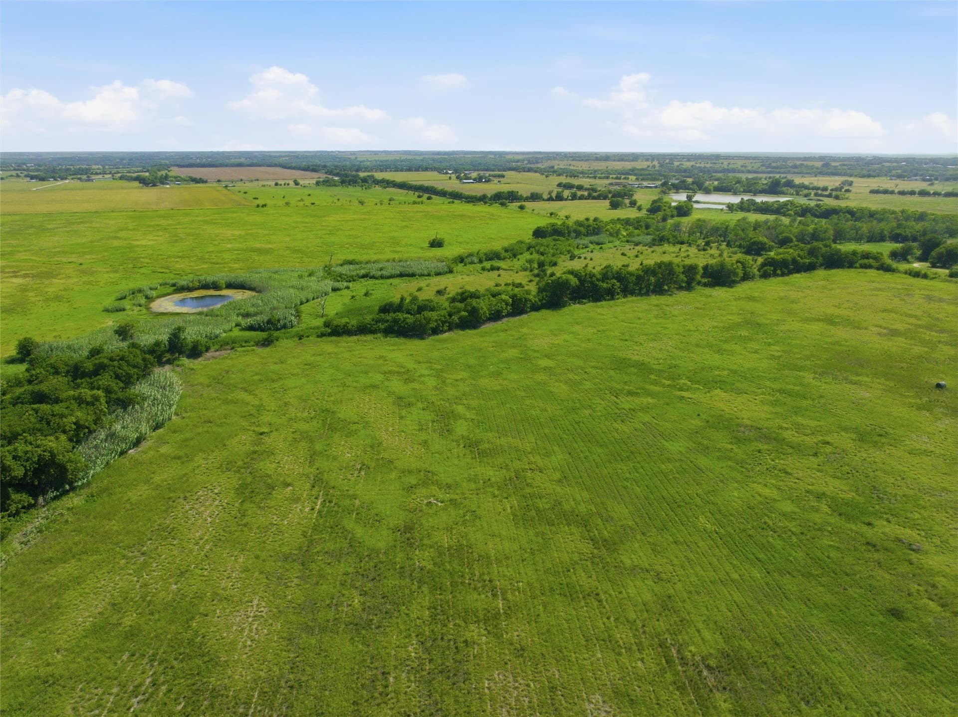 34.1 acres in McLennan County - photo 16