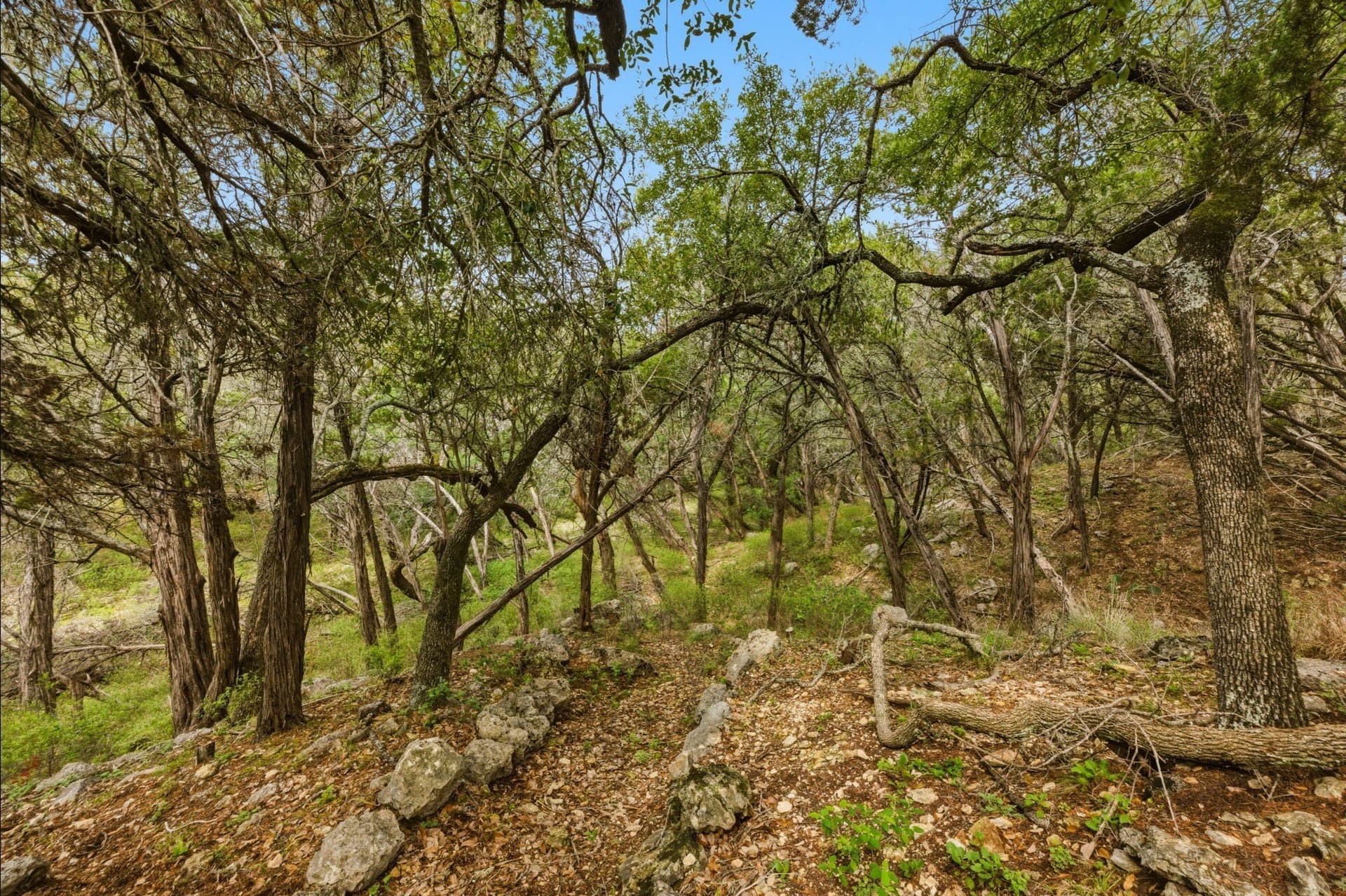 3.34 acres in Hays County - photo 26