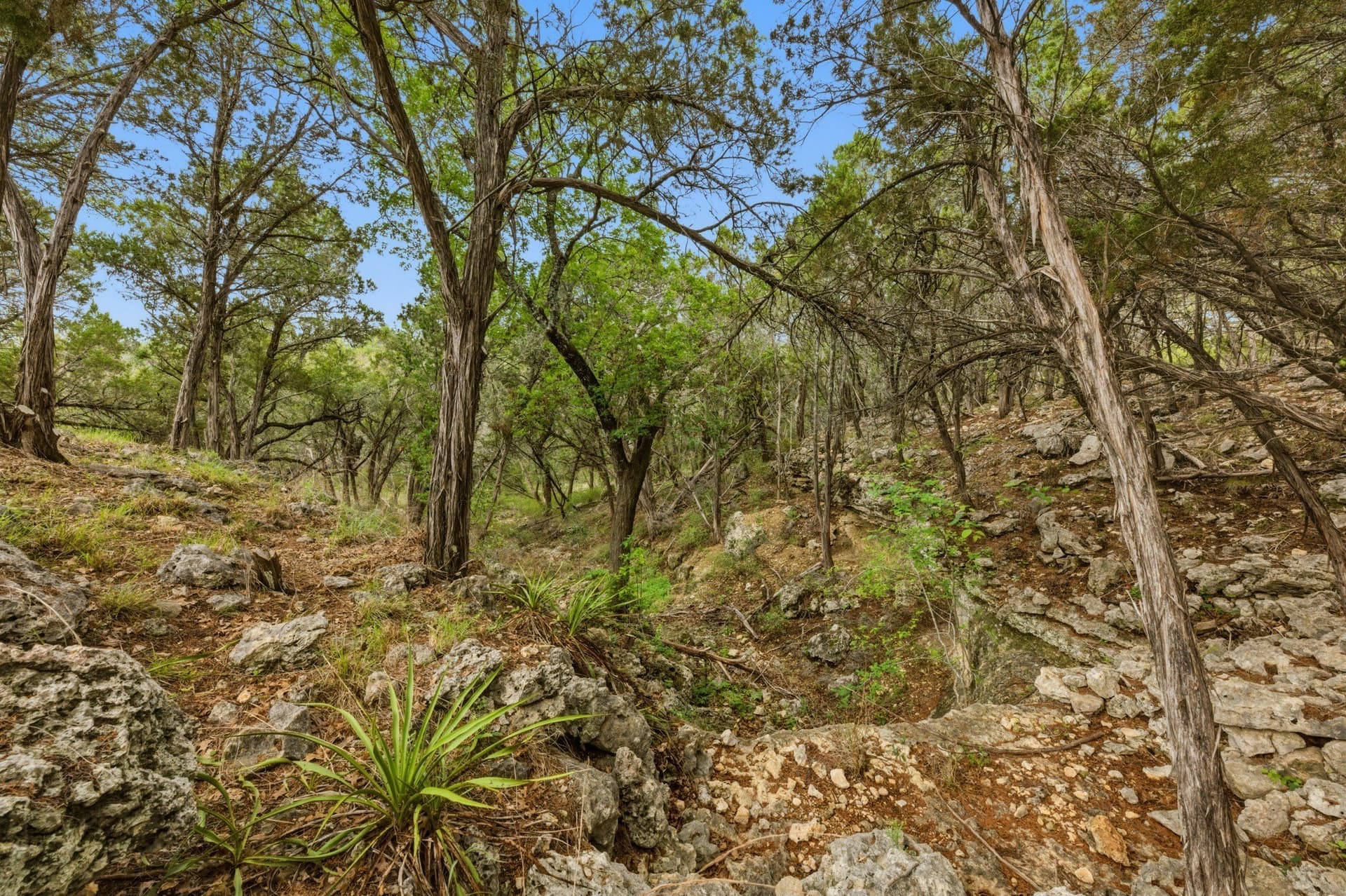 3.34 acres in Hays County - photo 25