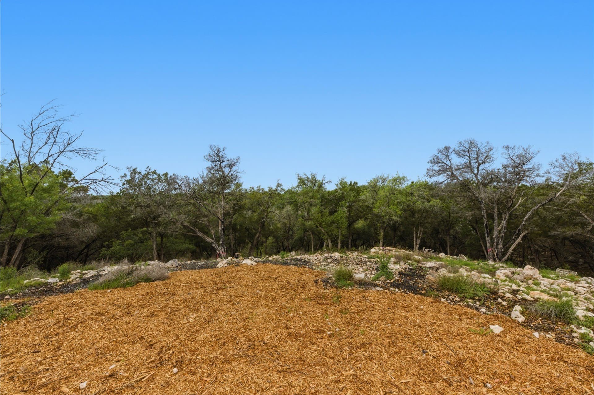 3.34 acres in Hays County - photo 13