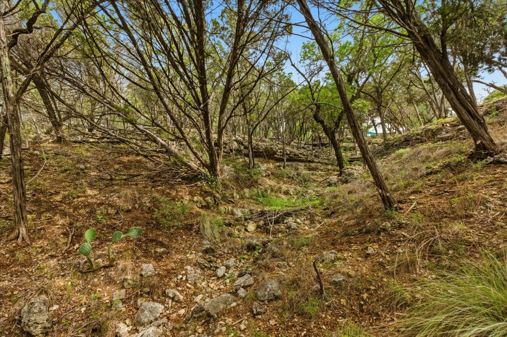 3.34 acres in Hays County - photo 27