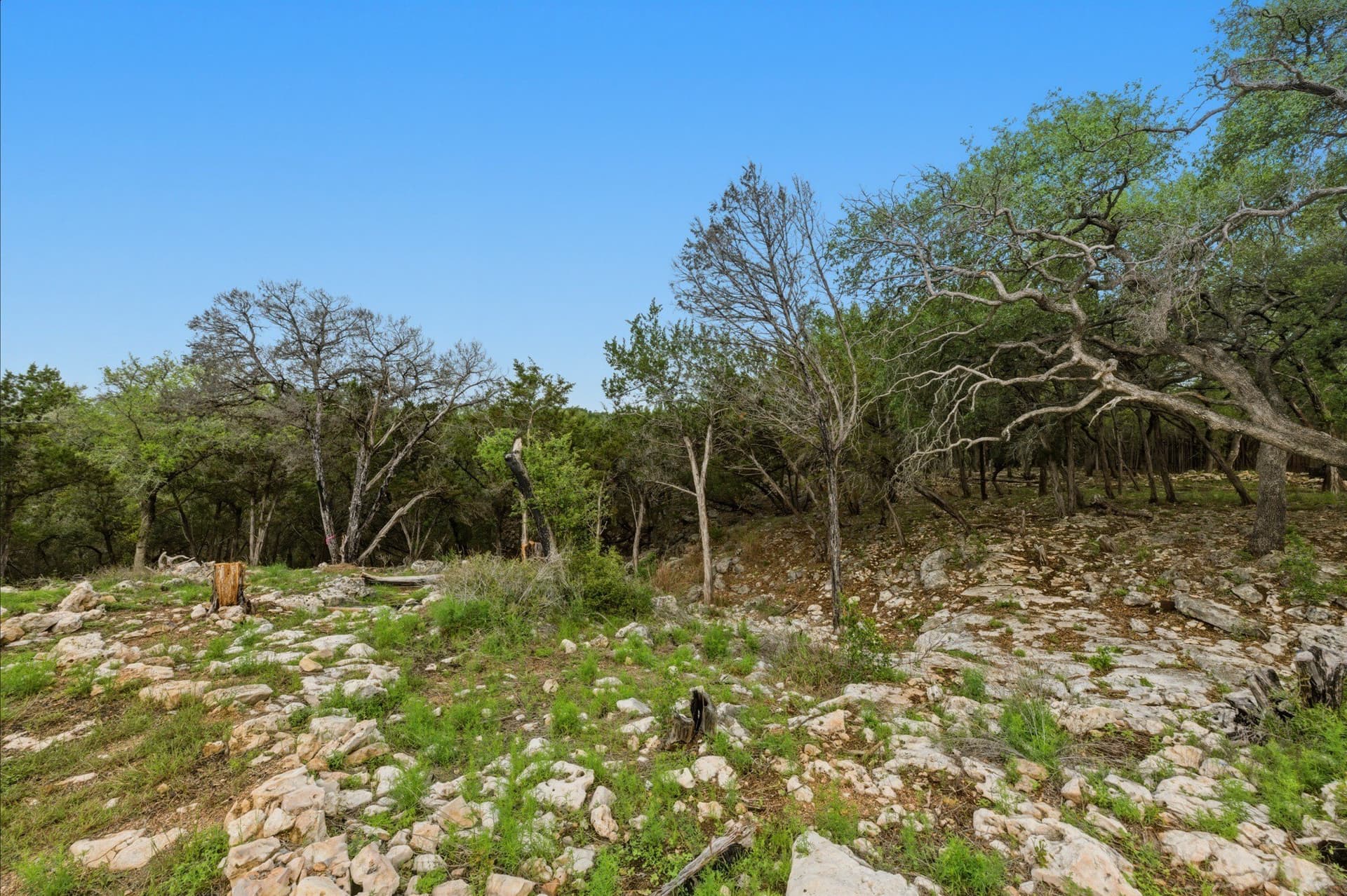 3.34 acres in Hays County - photo 15