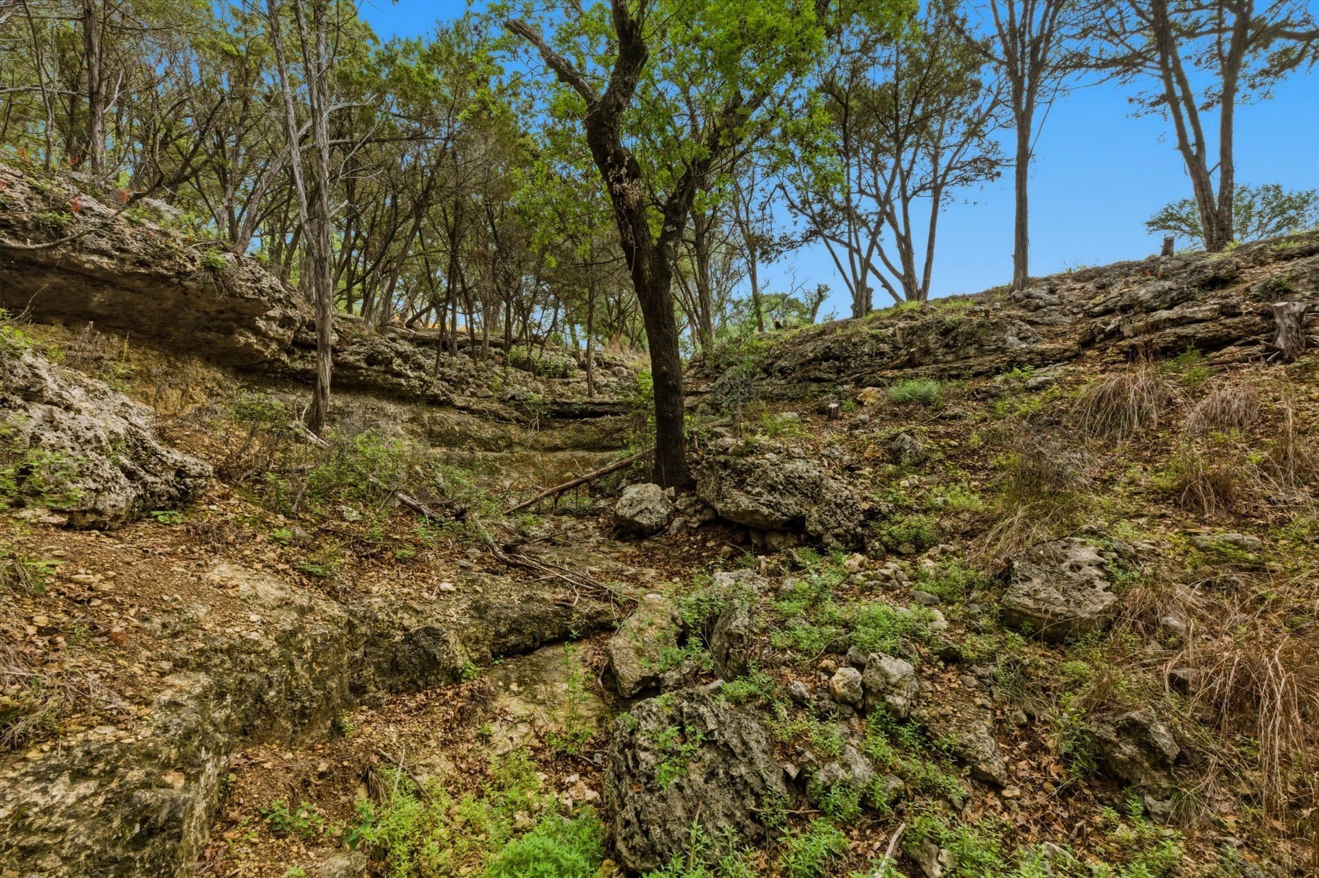 3.34 acres in Hays County - photo 28