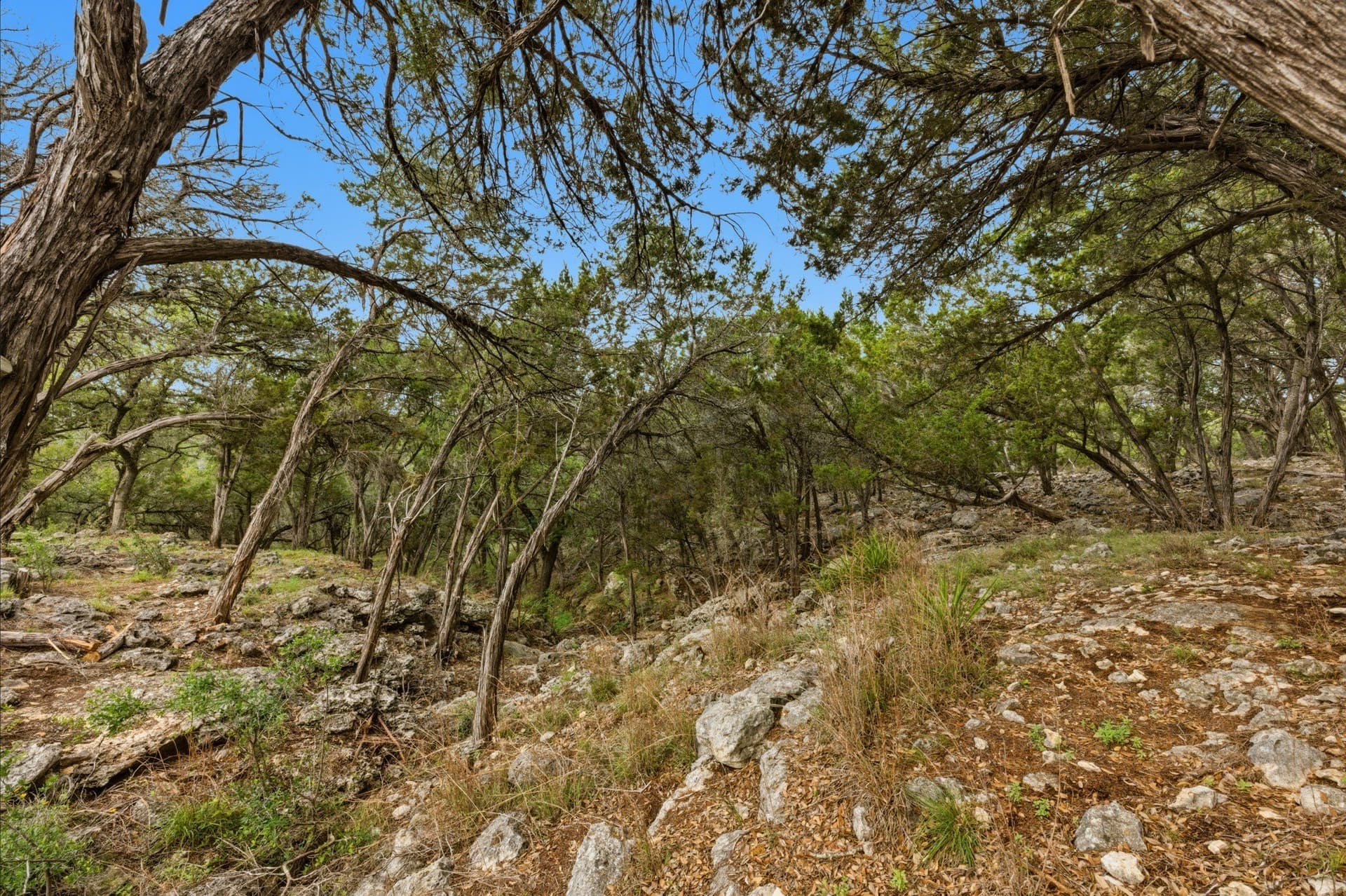 3.34 acres in Hays County - photo 22