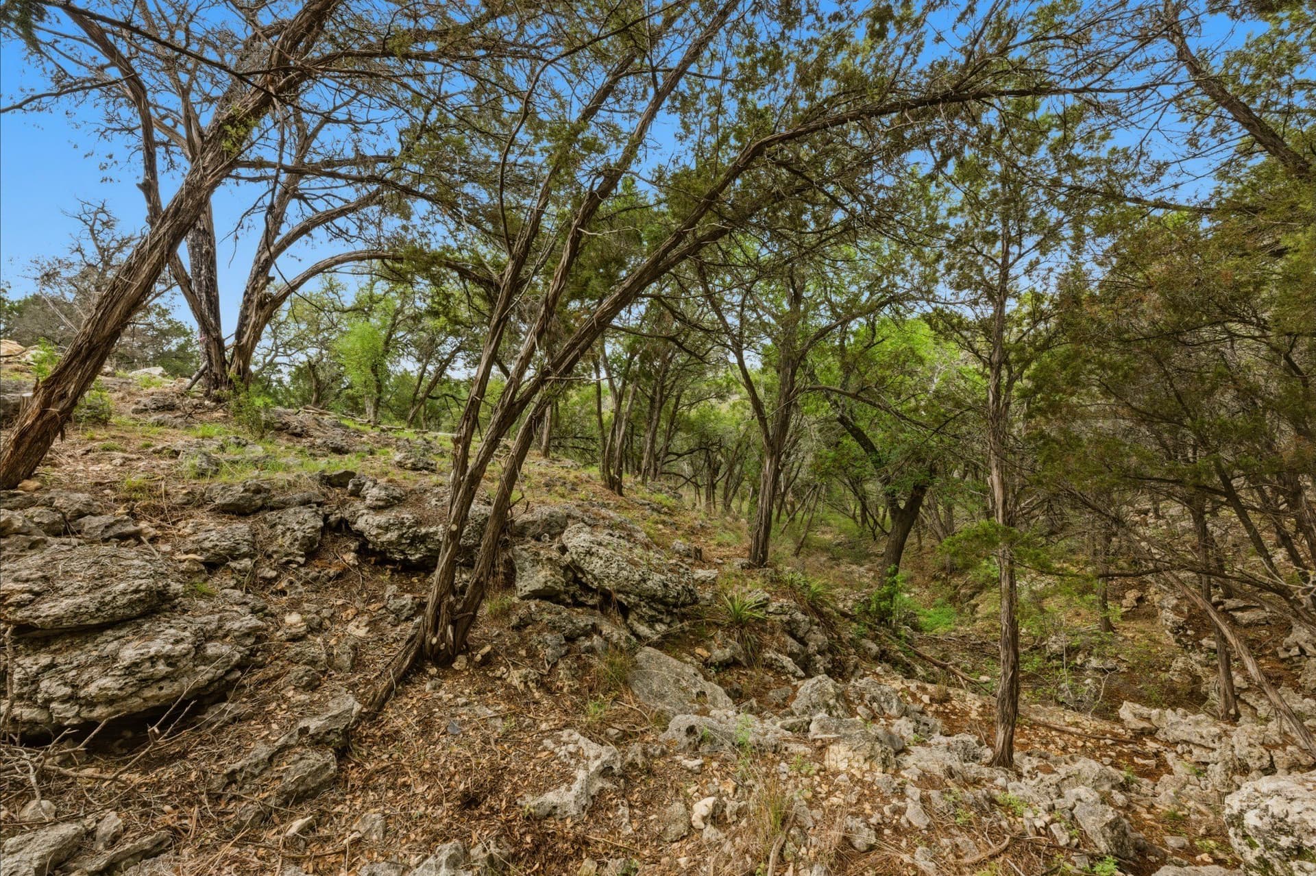 3.34 acres in Hays County - photo 24