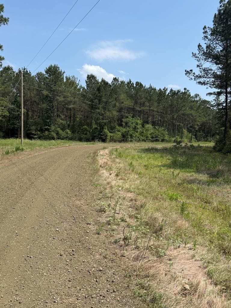 1.88 acres in Texas County - photo 8