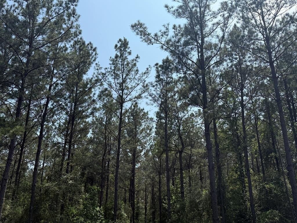 1.88 acres in Texas County - photo 10